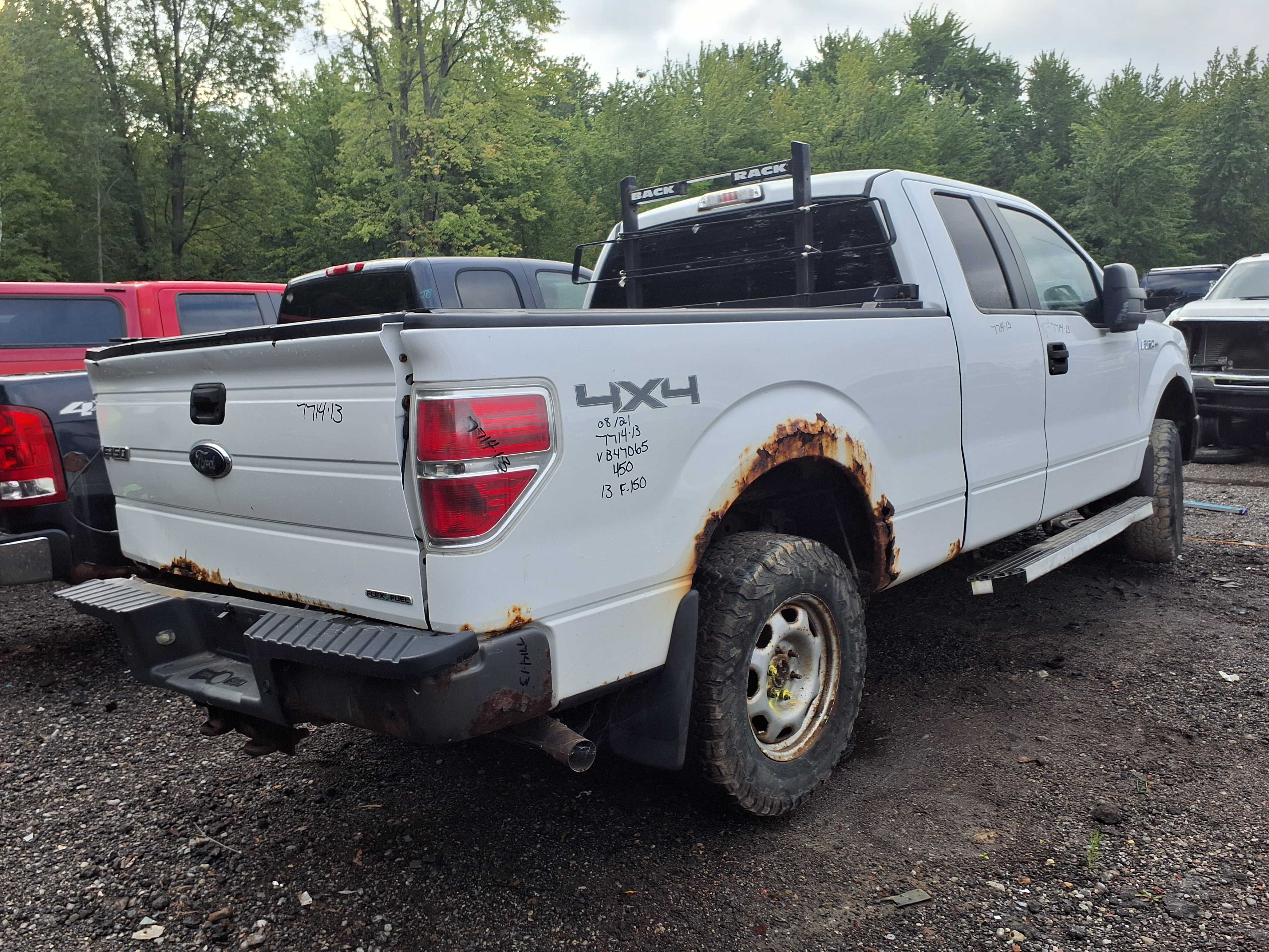 FORD F-150 2013
