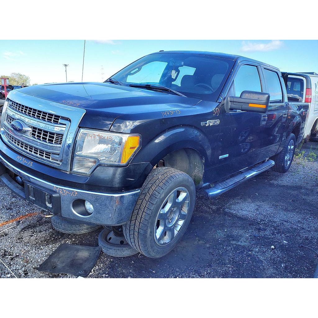 FORD F-150 2013
