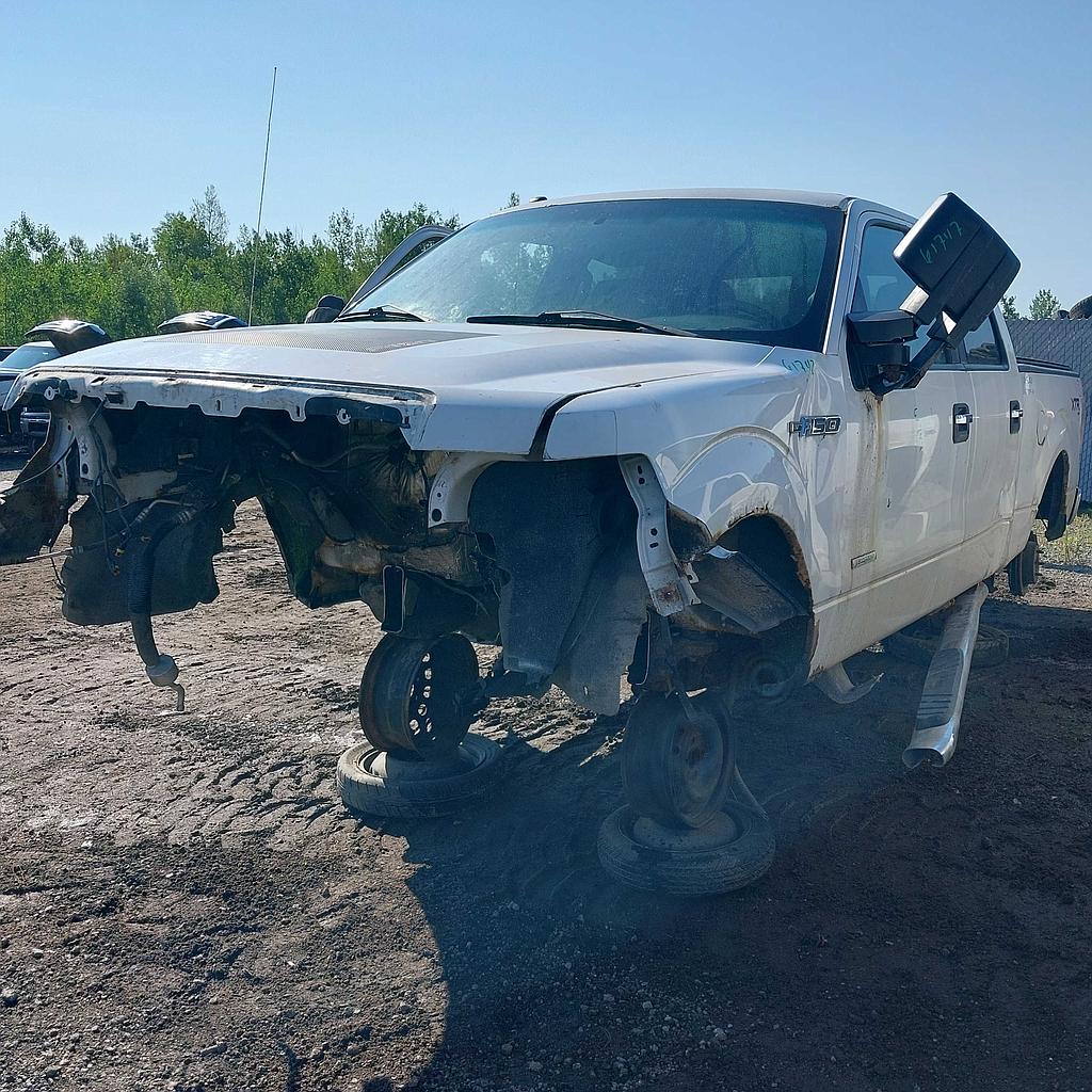 FORD F-150 2014
