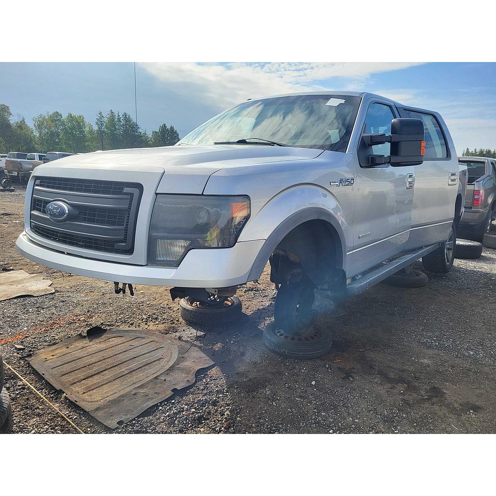 FORD F-150 2014