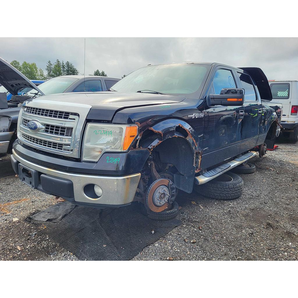 FORD F-150 2014