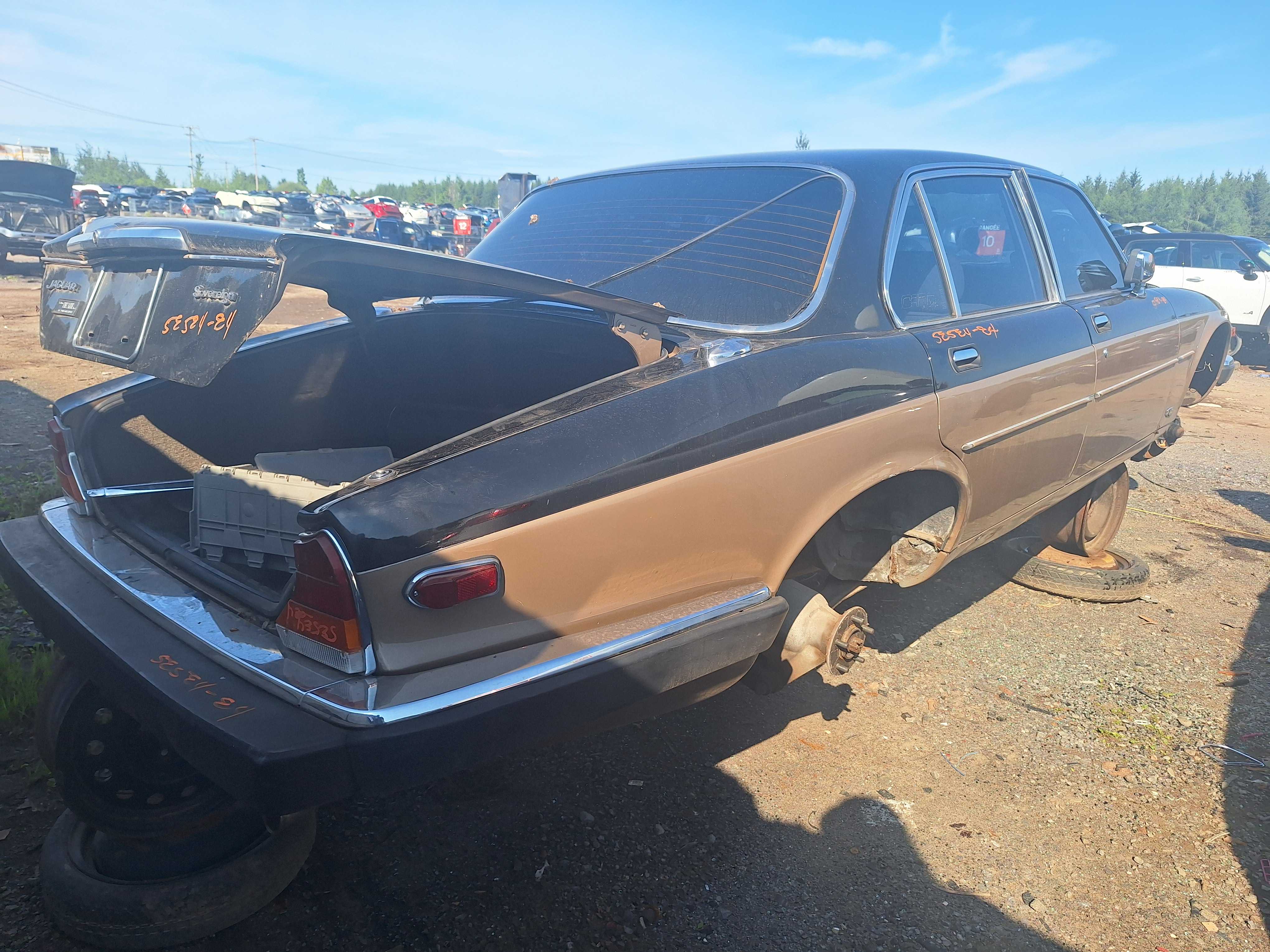 JAGUAR XJ SERIES 1984