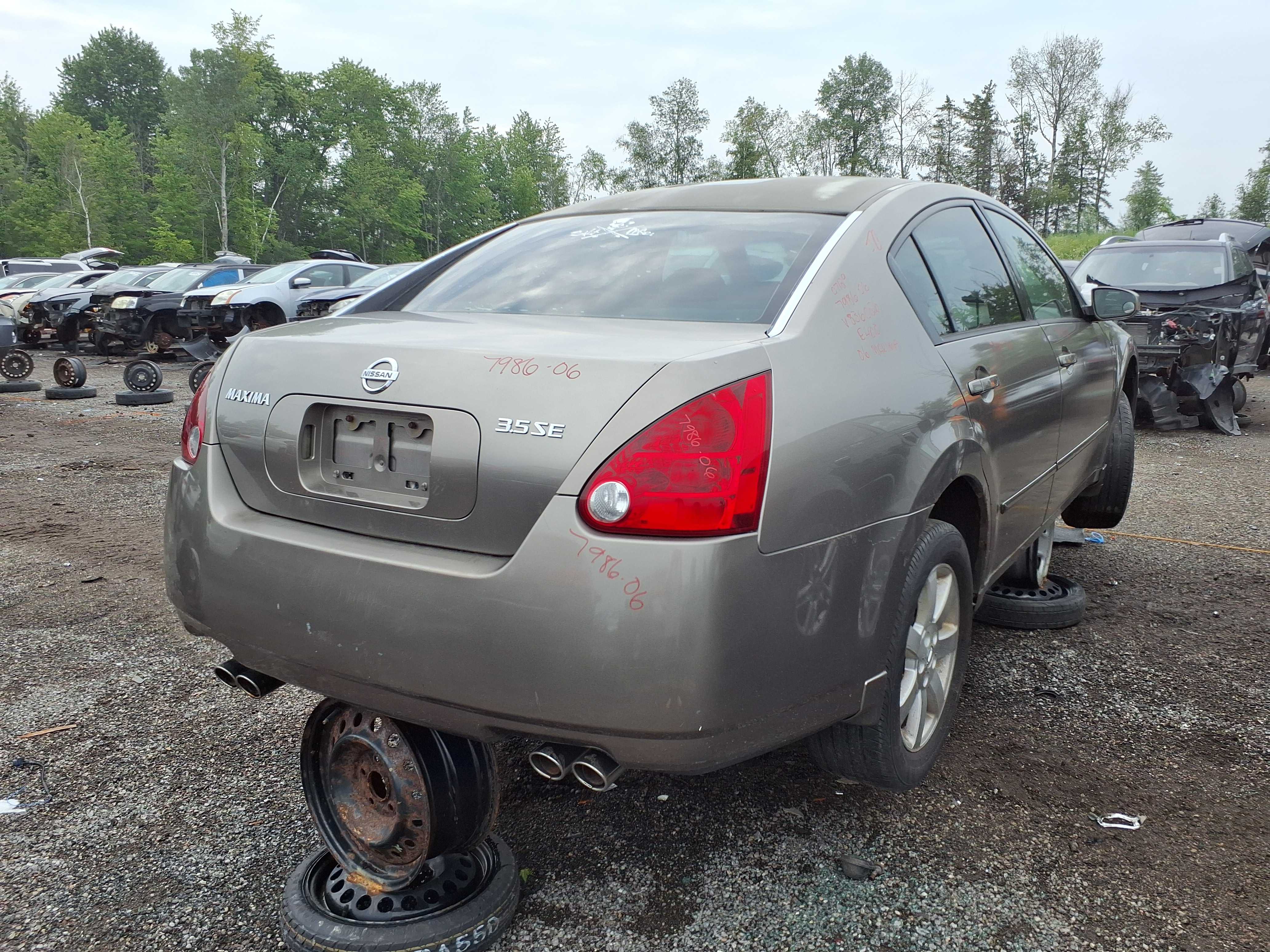 NISSAN MAXIMA 2006