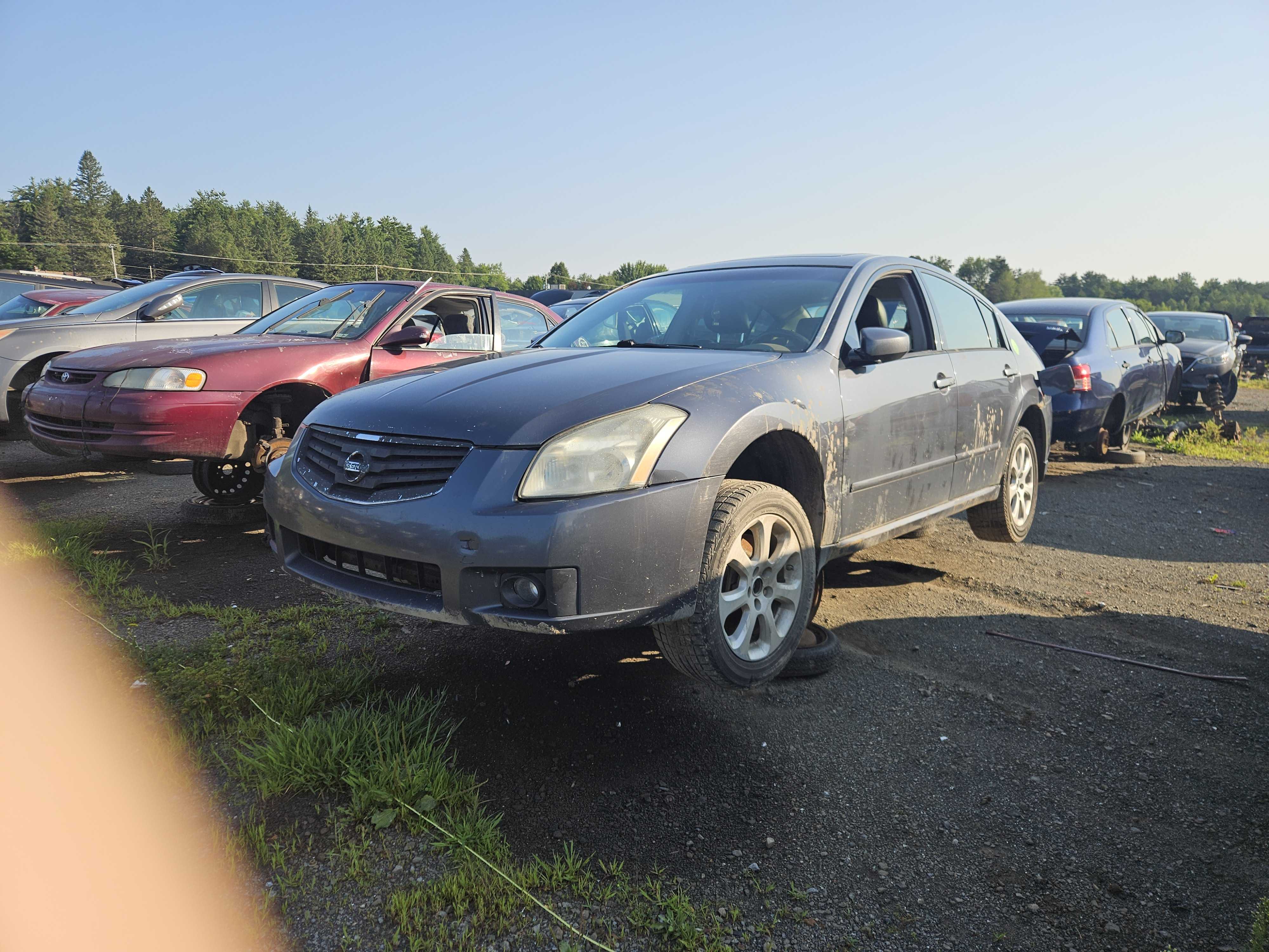 NISSAN MAXIMA 2007