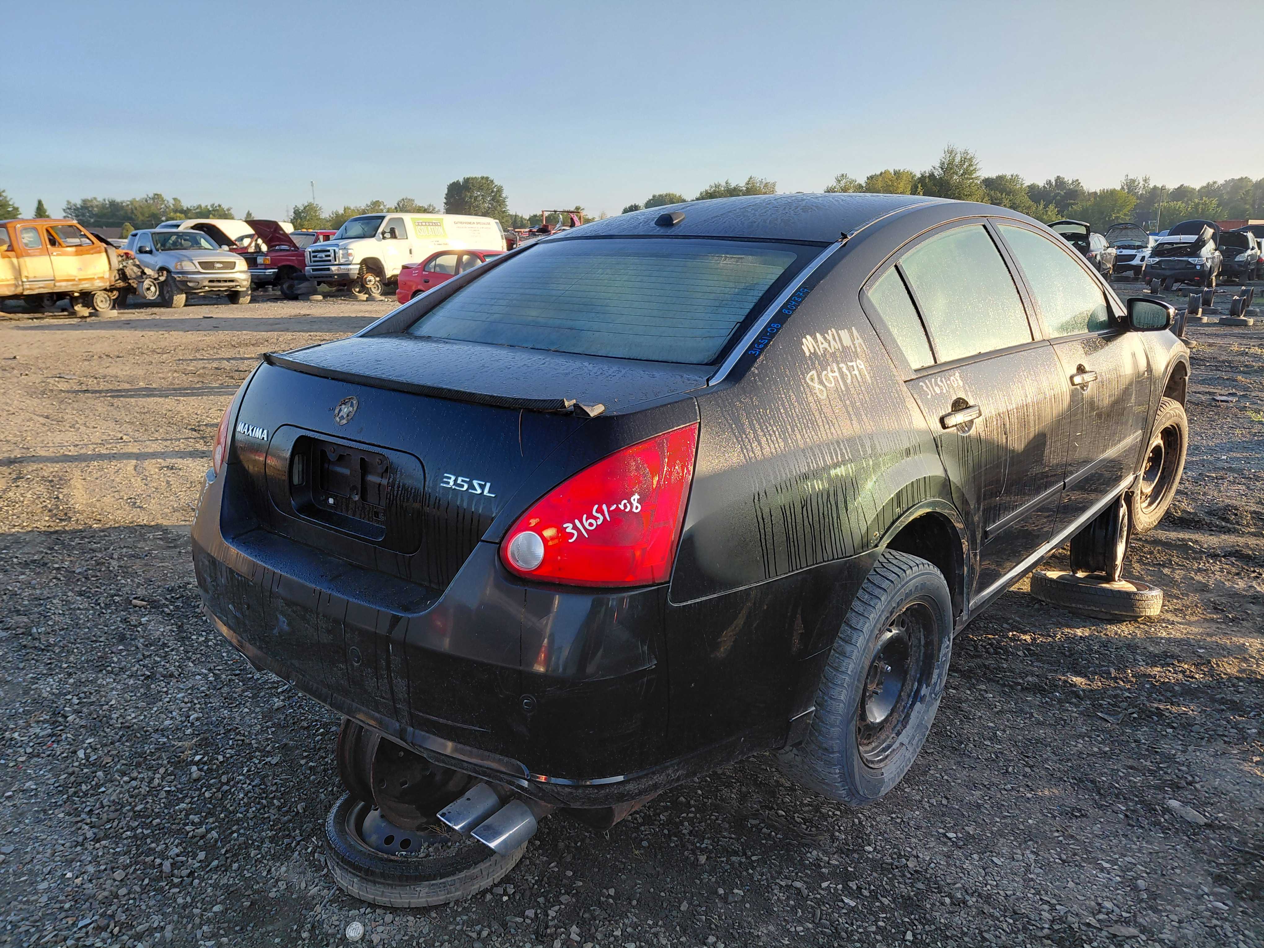 NISSAN MAXIMA 2008