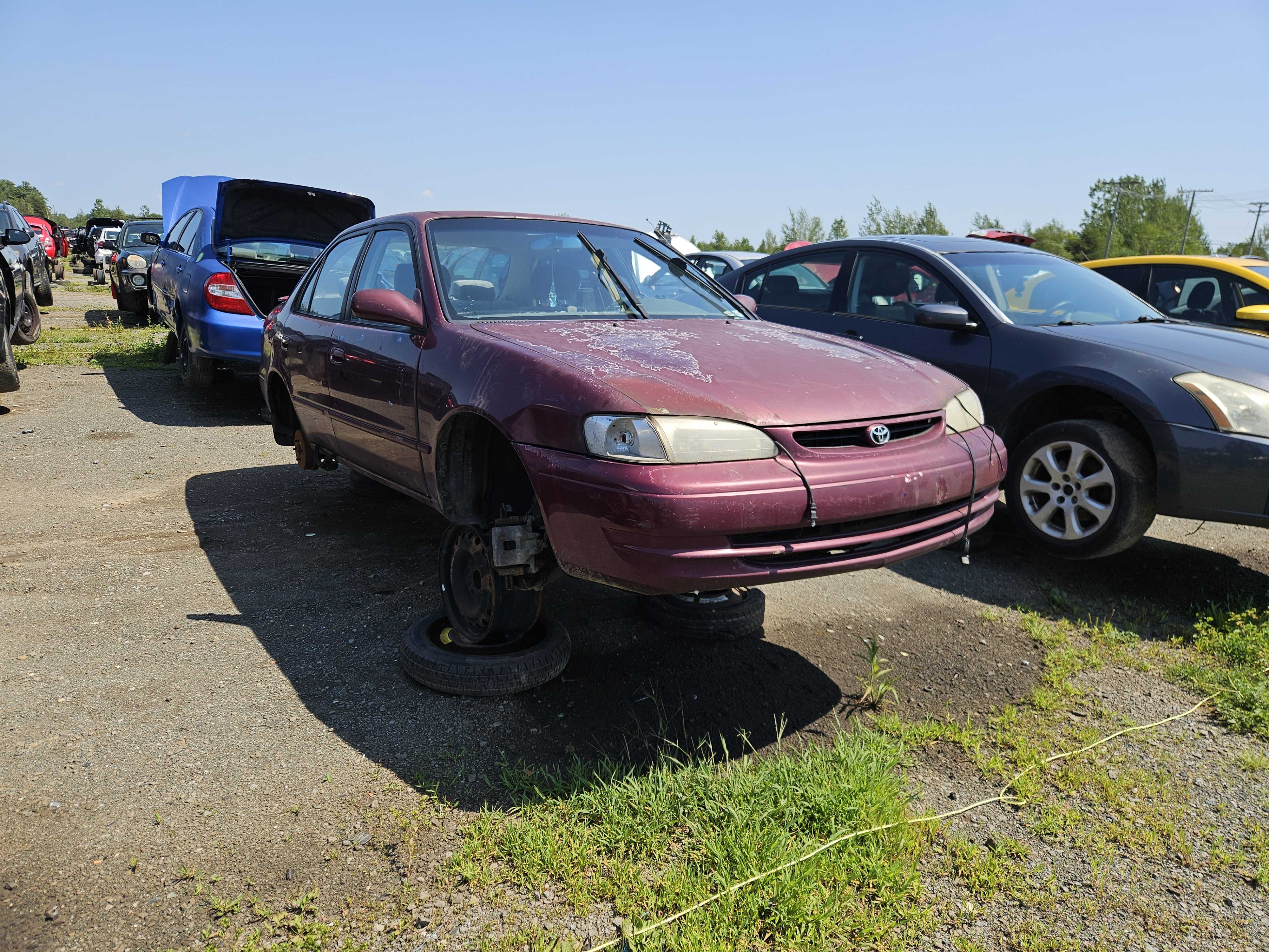 TOYOTA COROLLA 1998