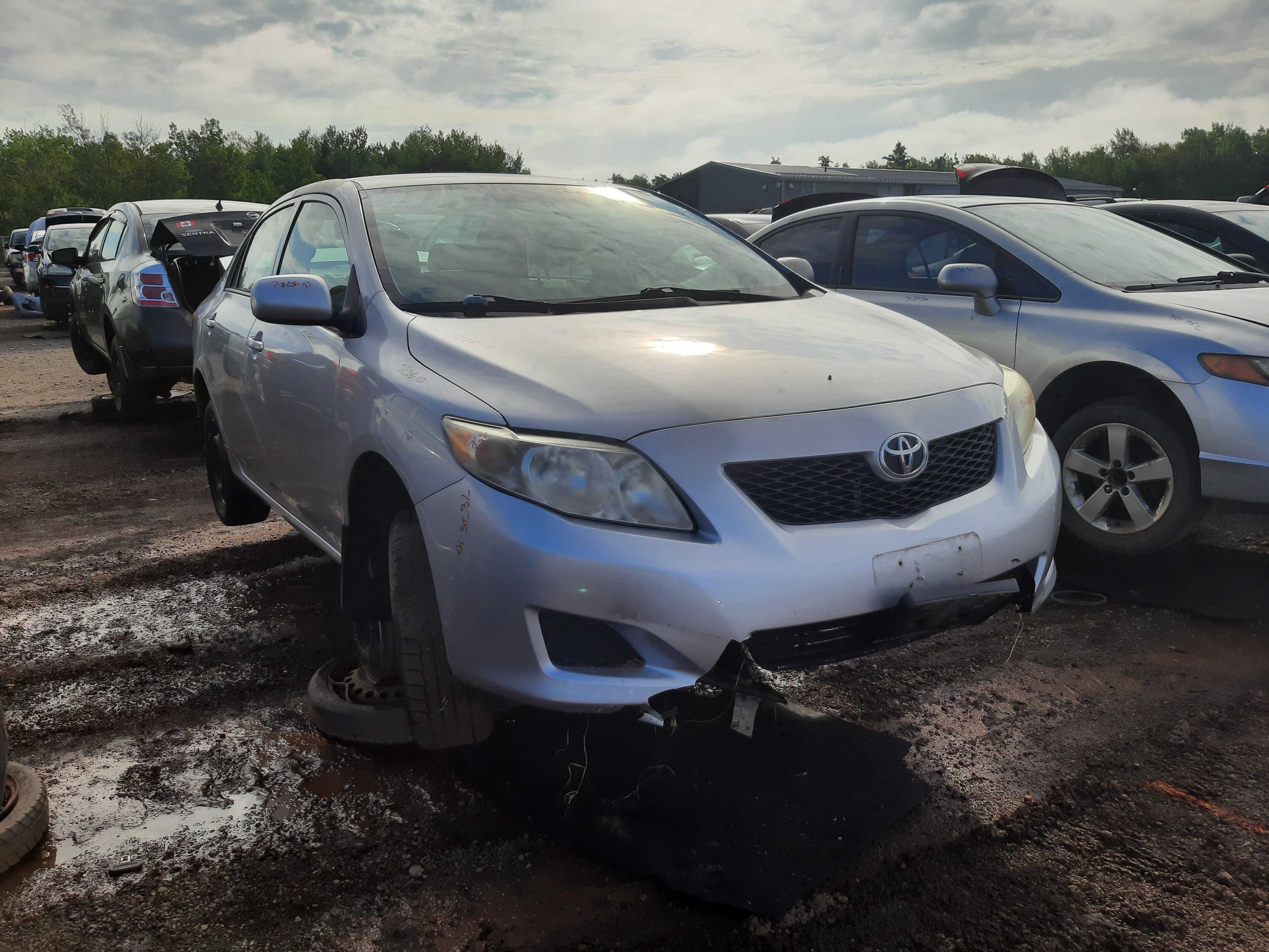 TOYOTA COROLLA 2010