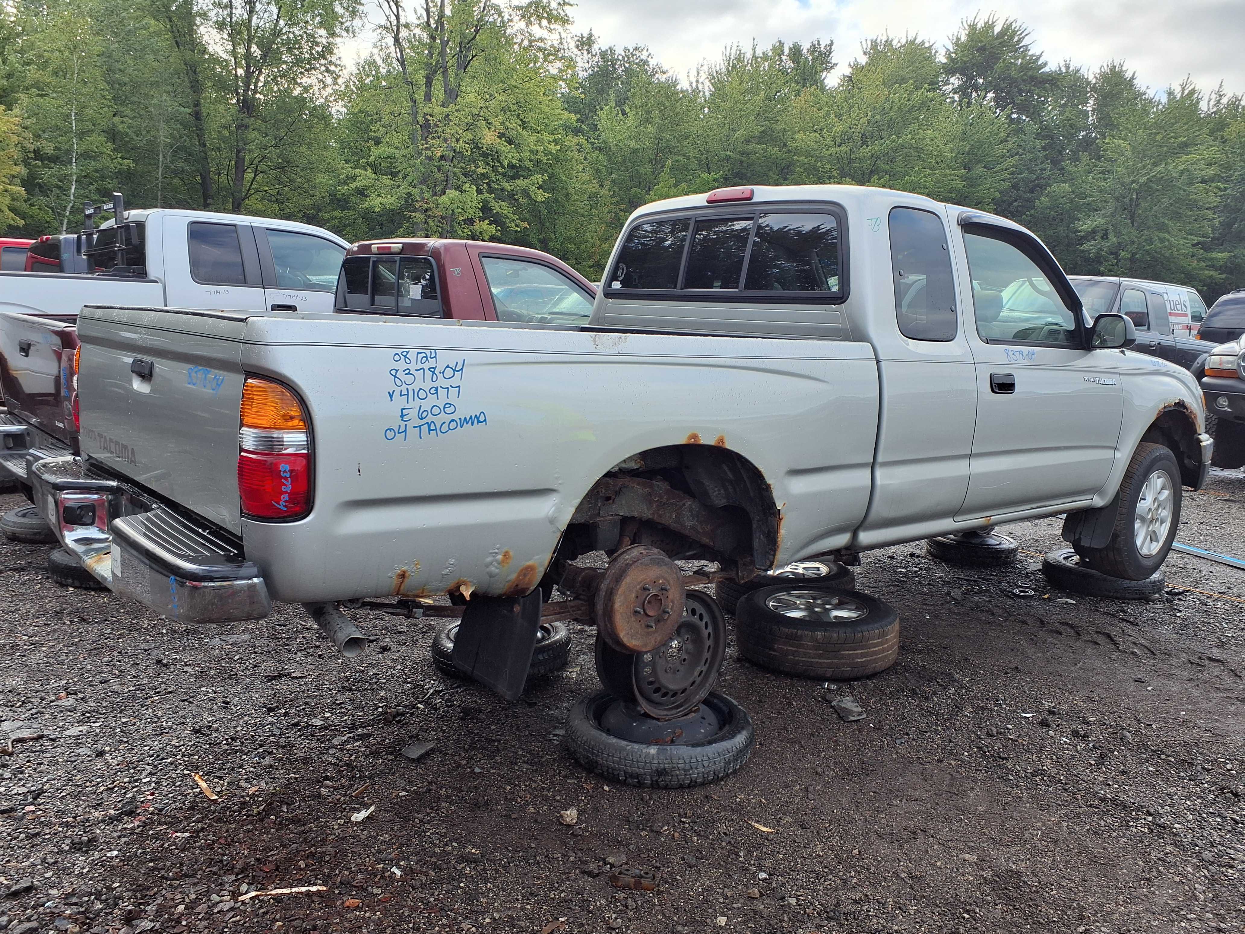 TOYOTA TACOMA 2004