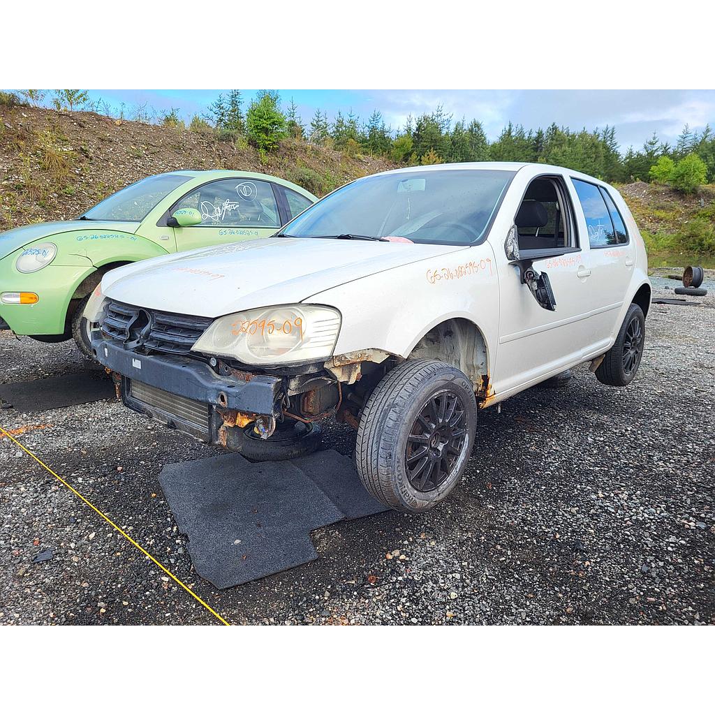 VOLKSWAGEN GOLF 2009