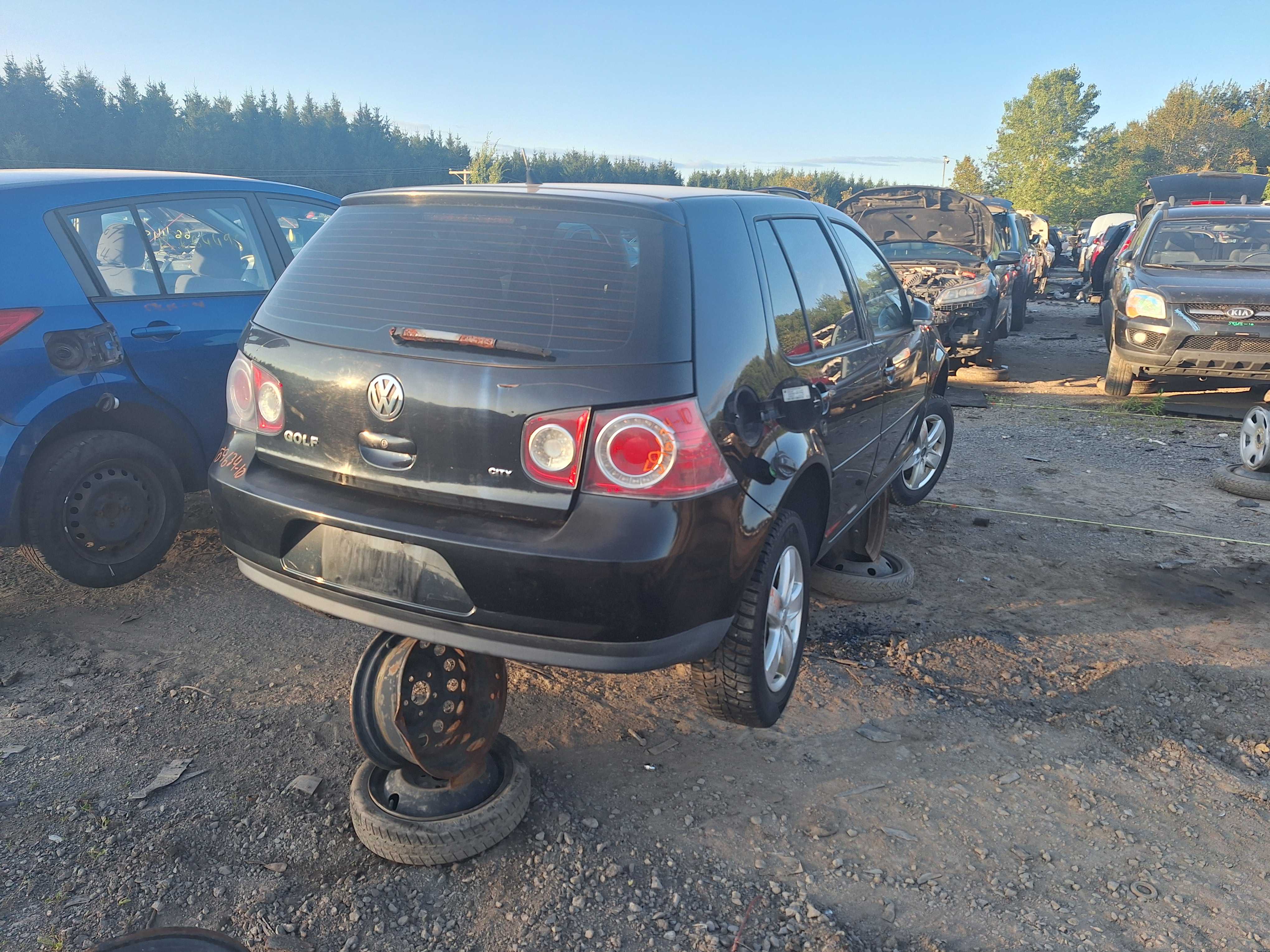 VOLKSWAGEN GOLF 2010