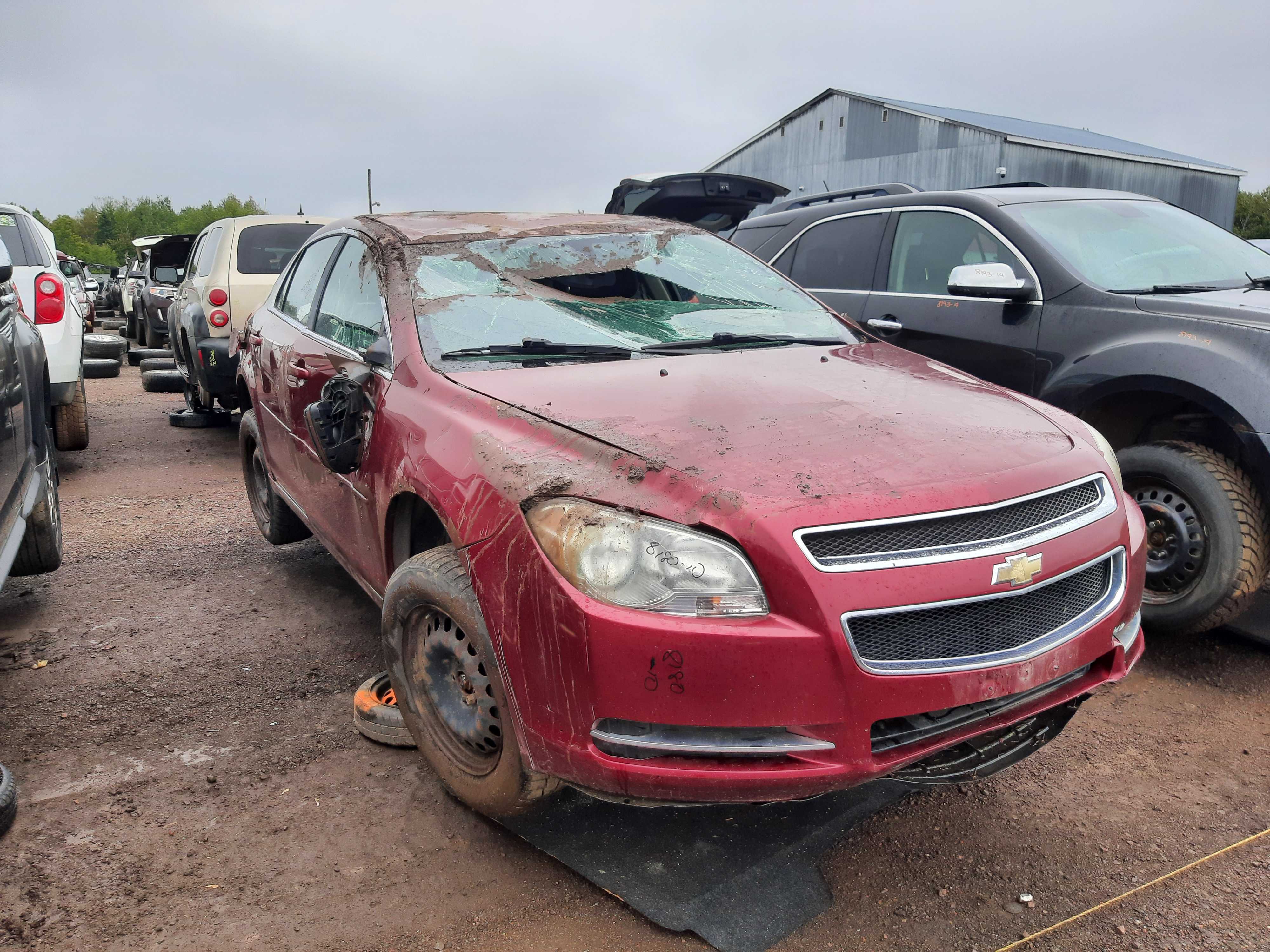 CHEVROLET MALIBU 2010