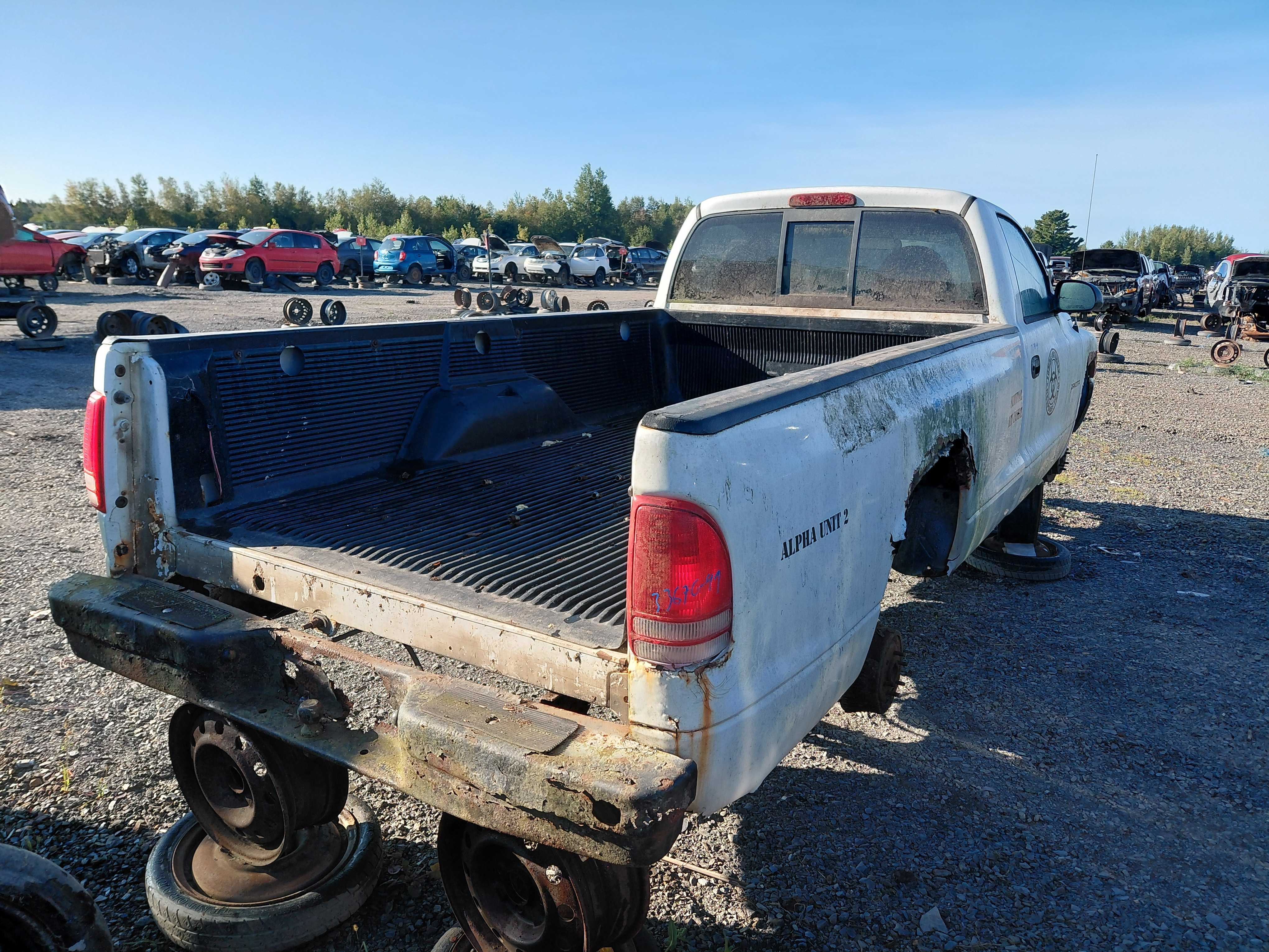 DODGE DAKOTA 1999