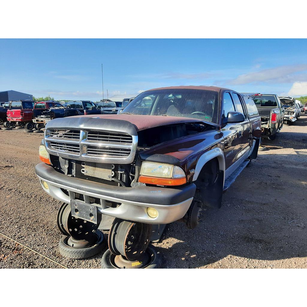 DODGE DAKOTA 2000