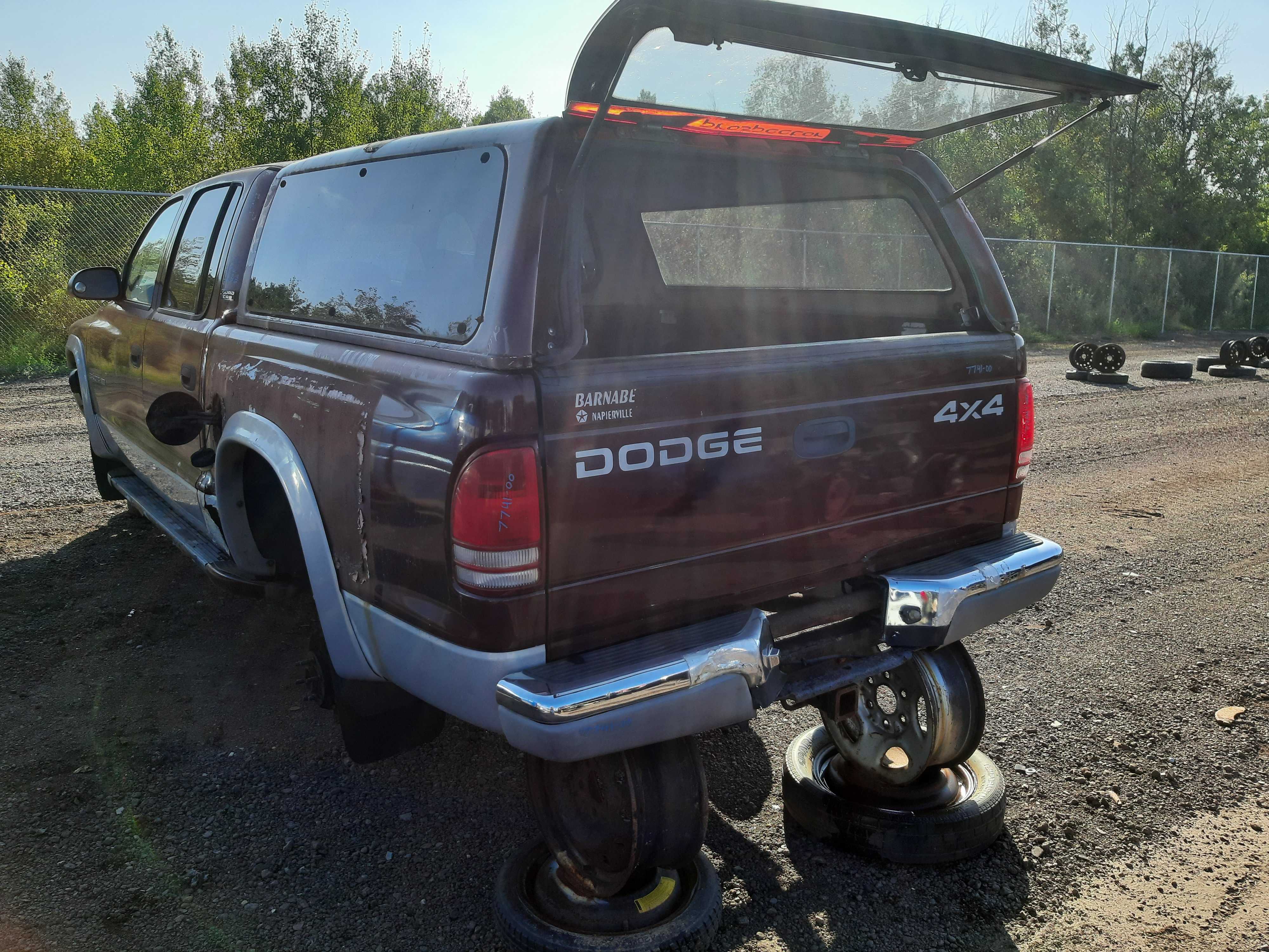 DODGE DAKOTA 2000
