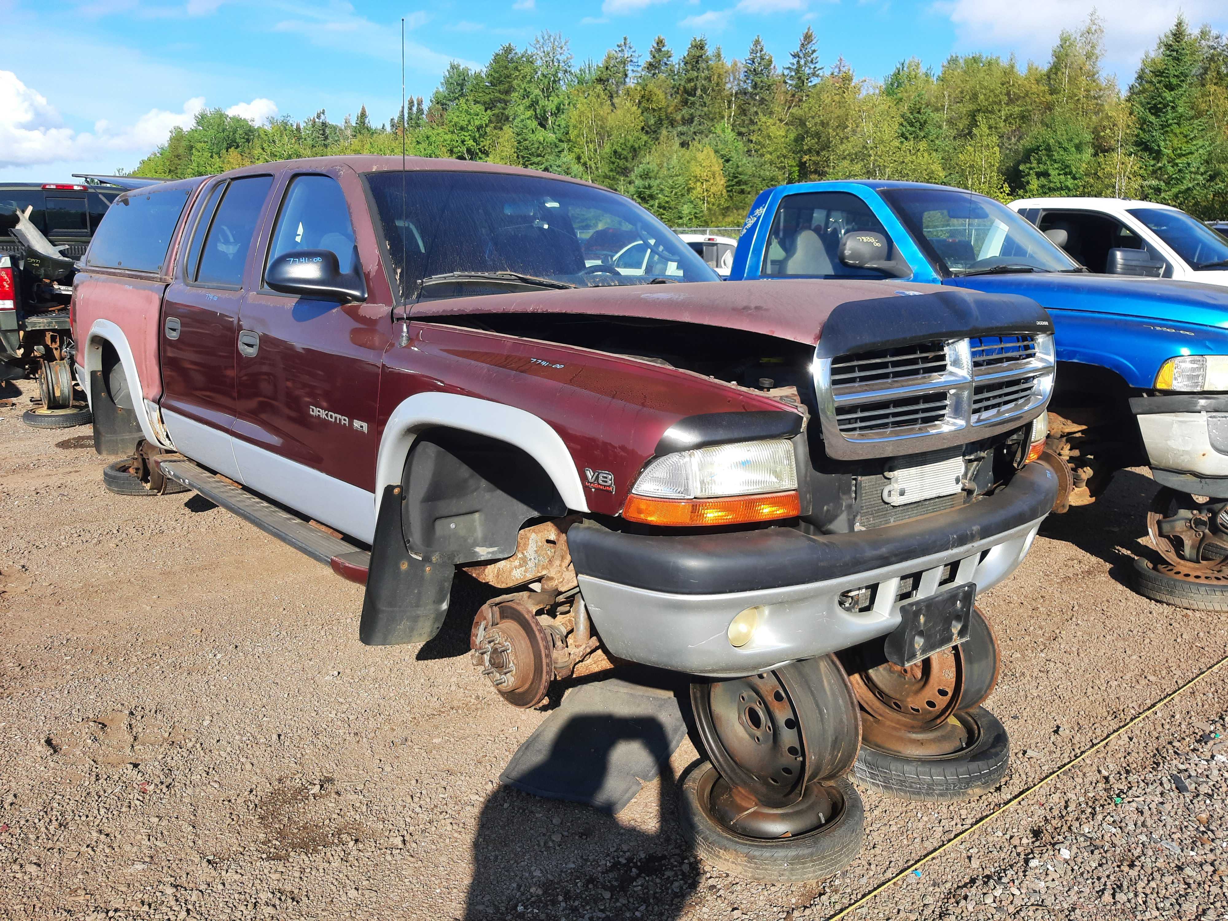 DODGE DAKOTA 2000