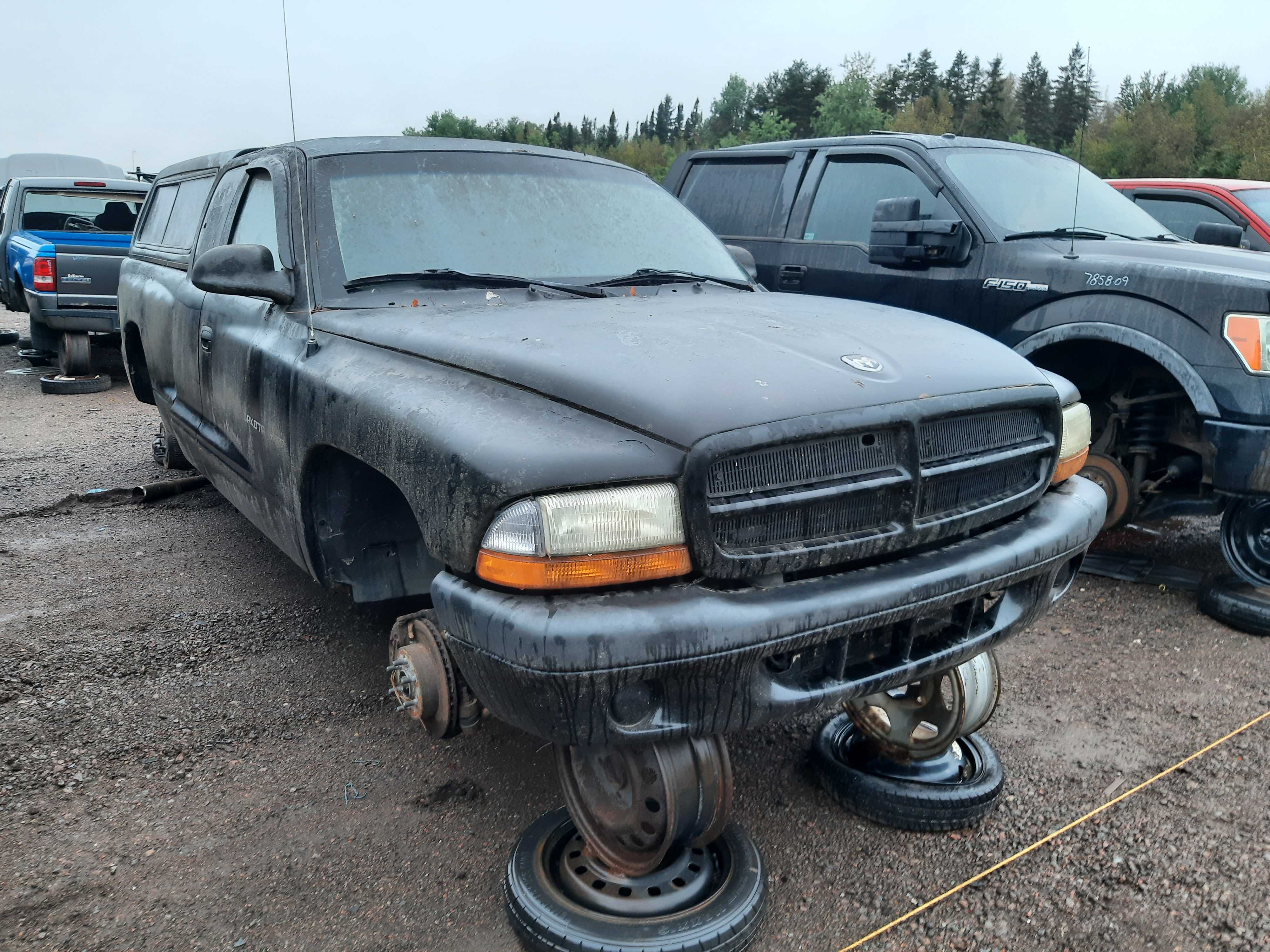 DODGE DAKOTA 2002
