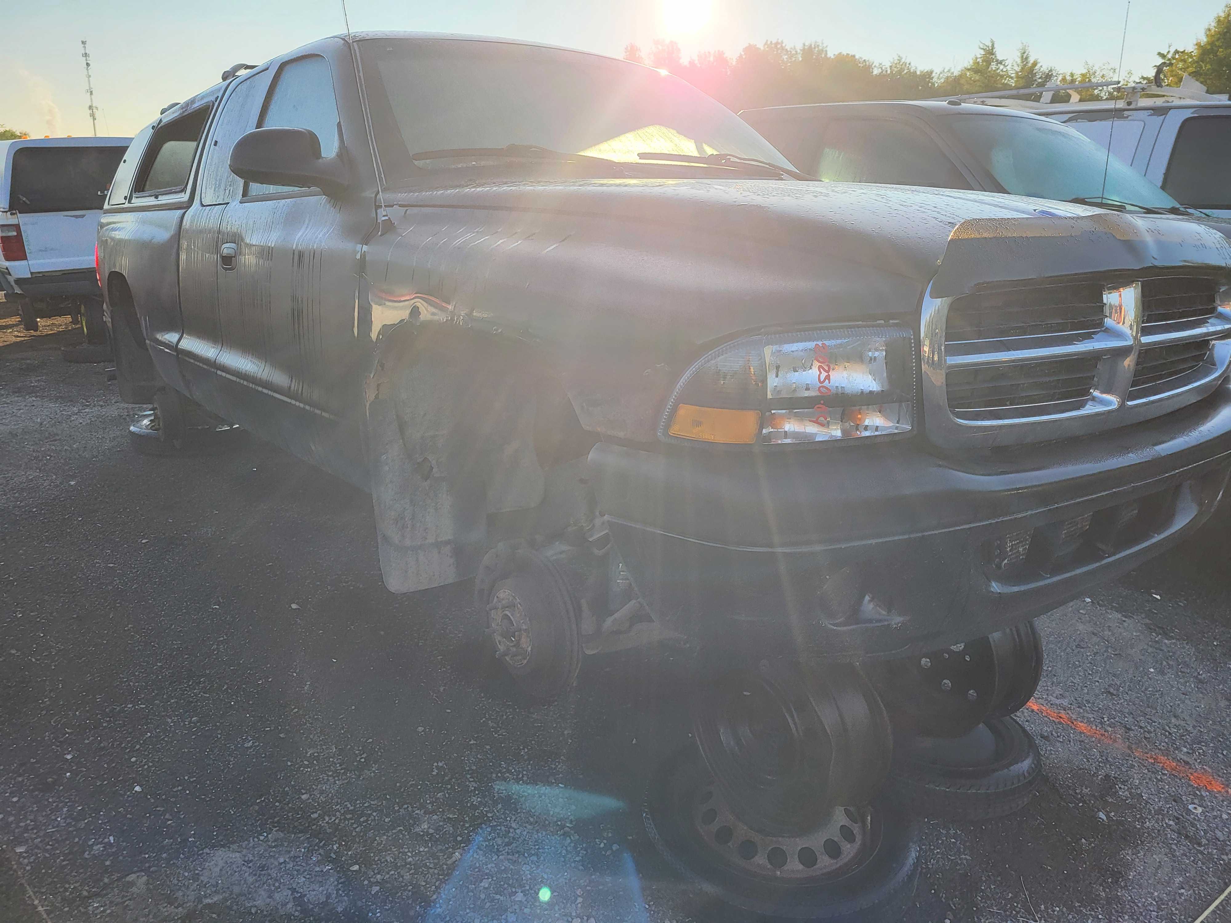 DODGE DAKOTA 2004