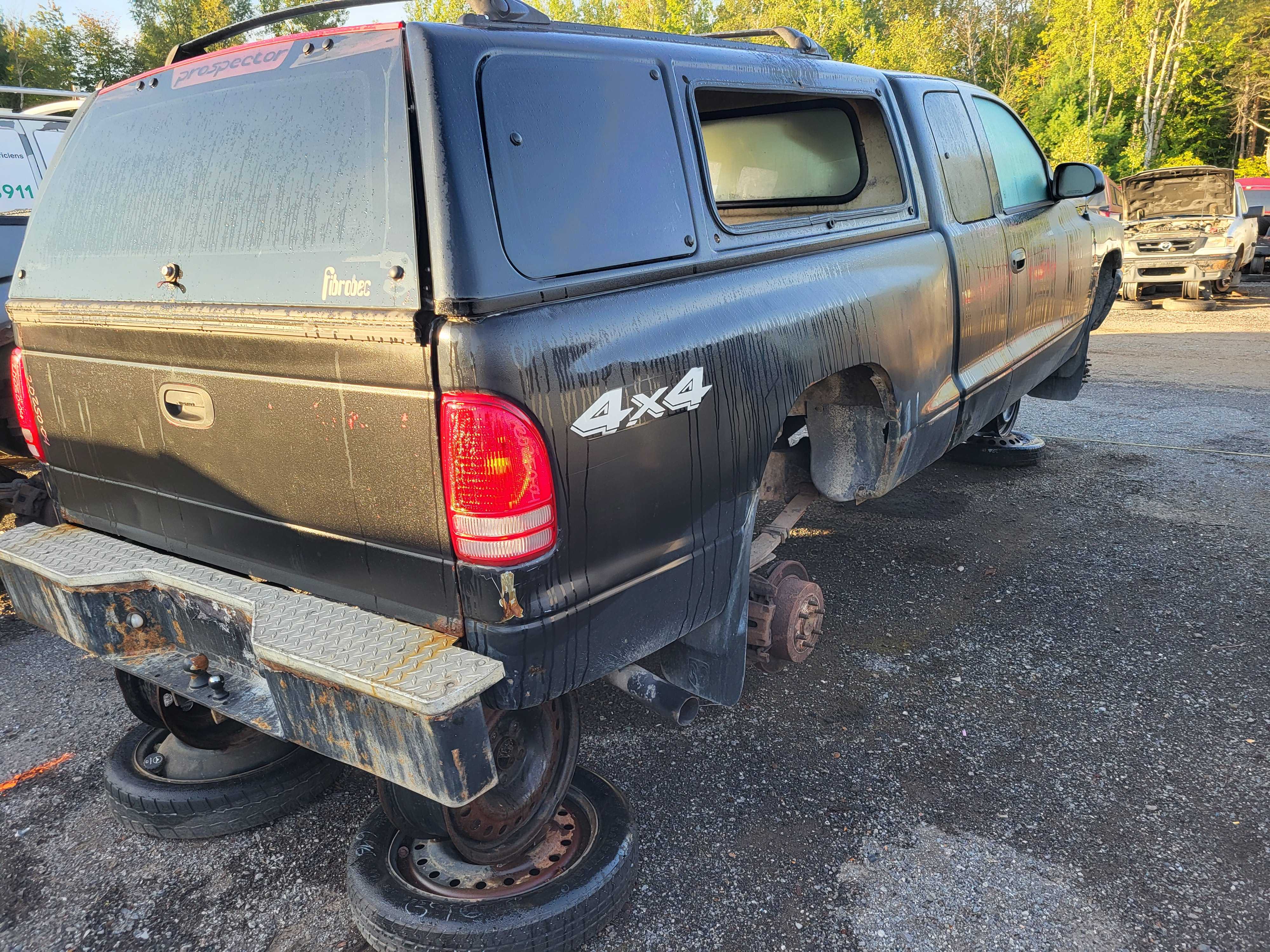 DODGE DAKOTA 2004