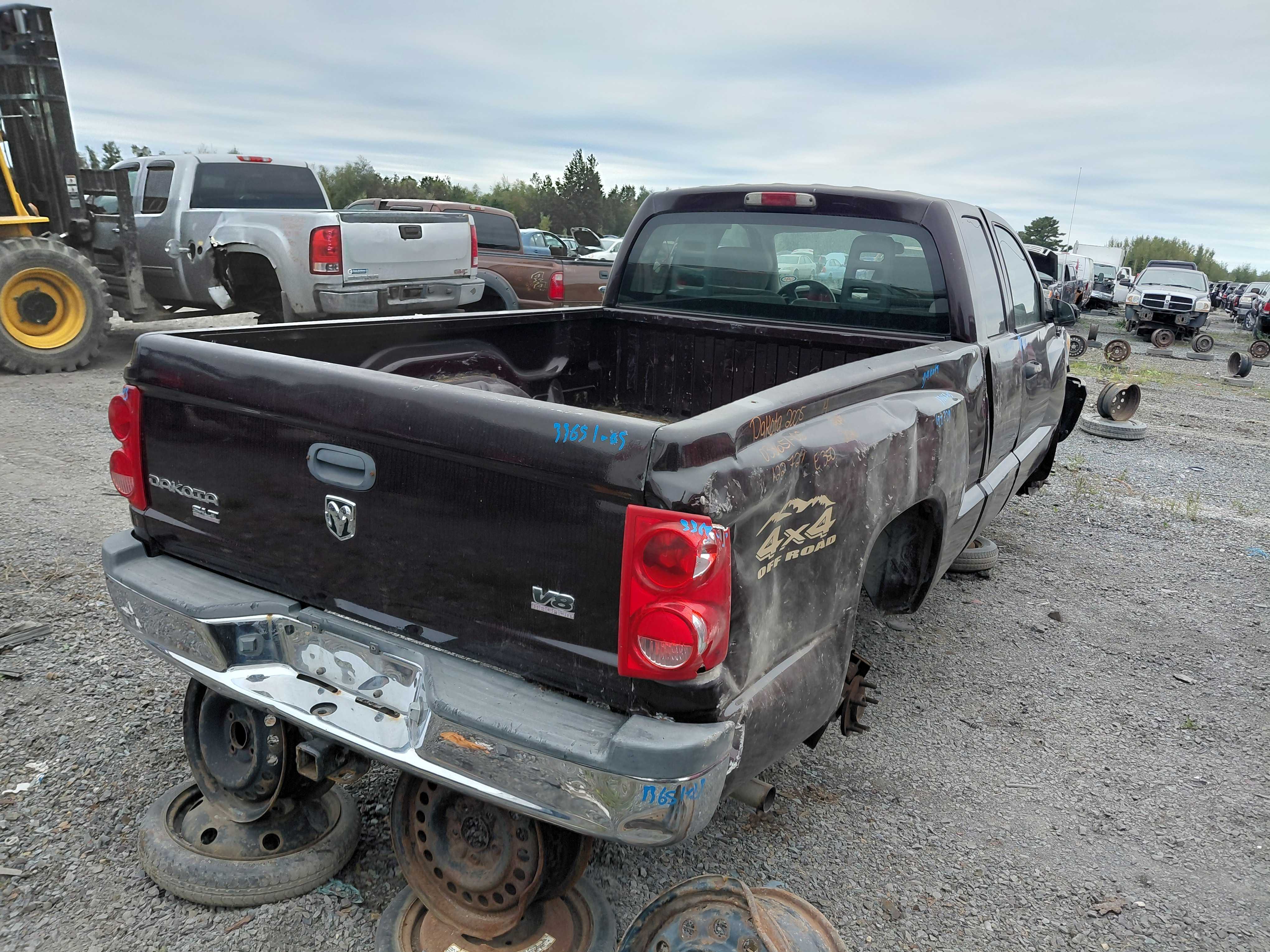 DODGE DAKOTA 2005