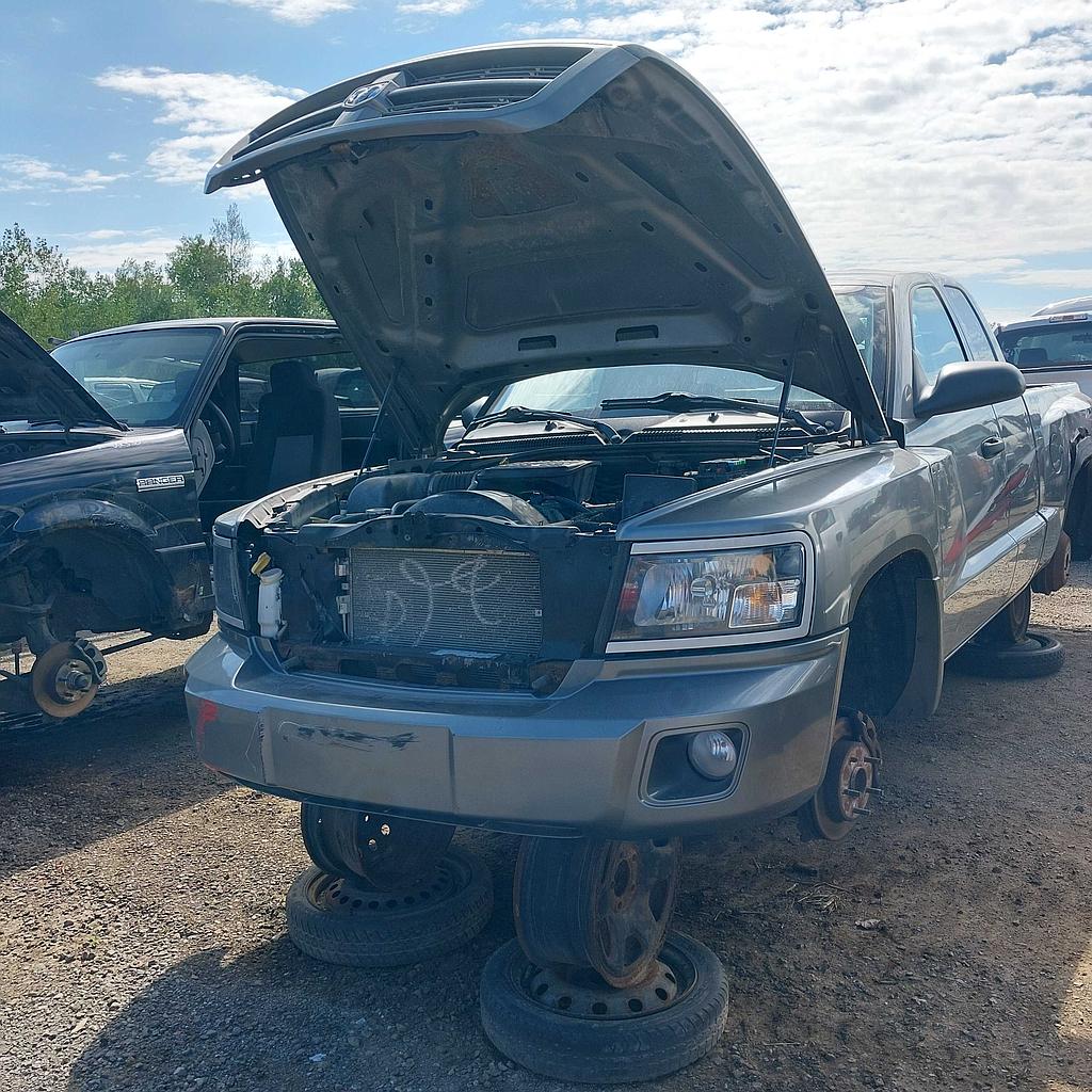 DODGE DAKOTA 2009