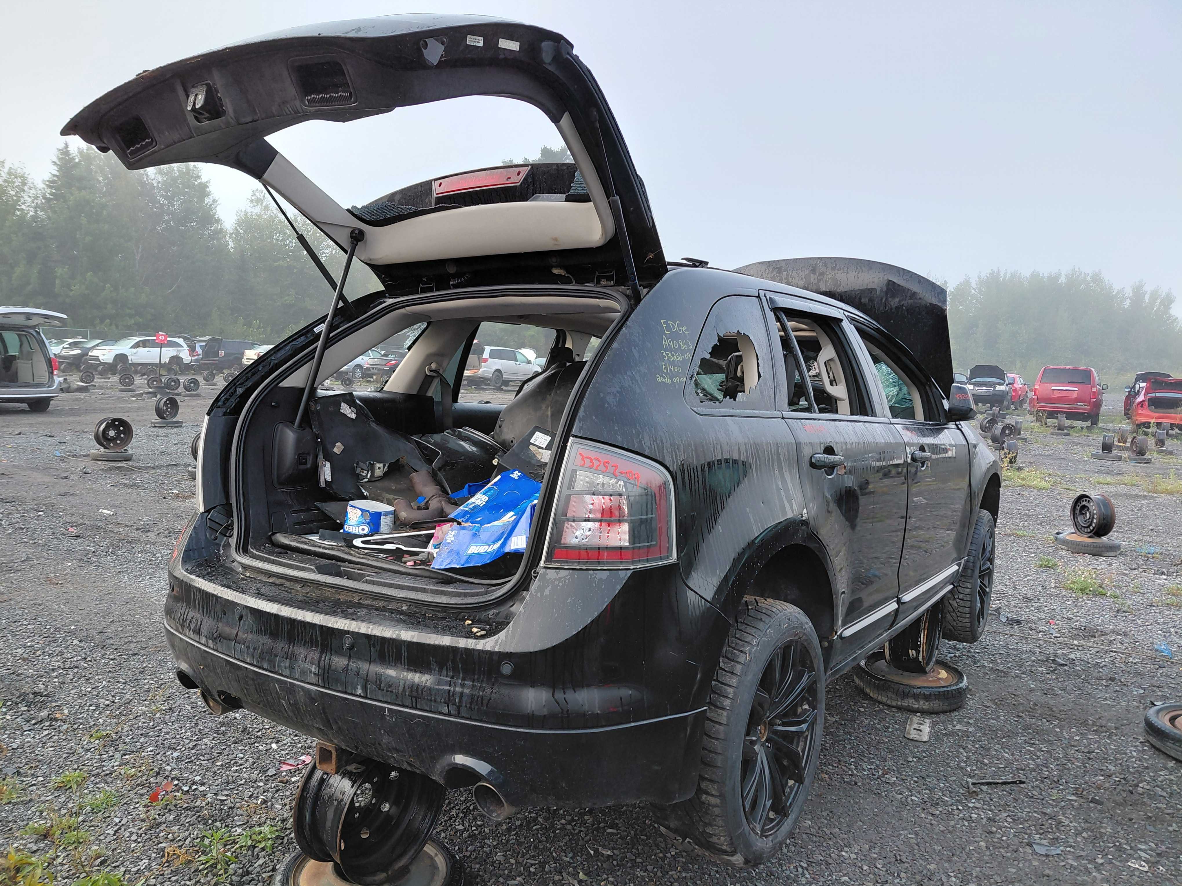 FORD EDGE 2009