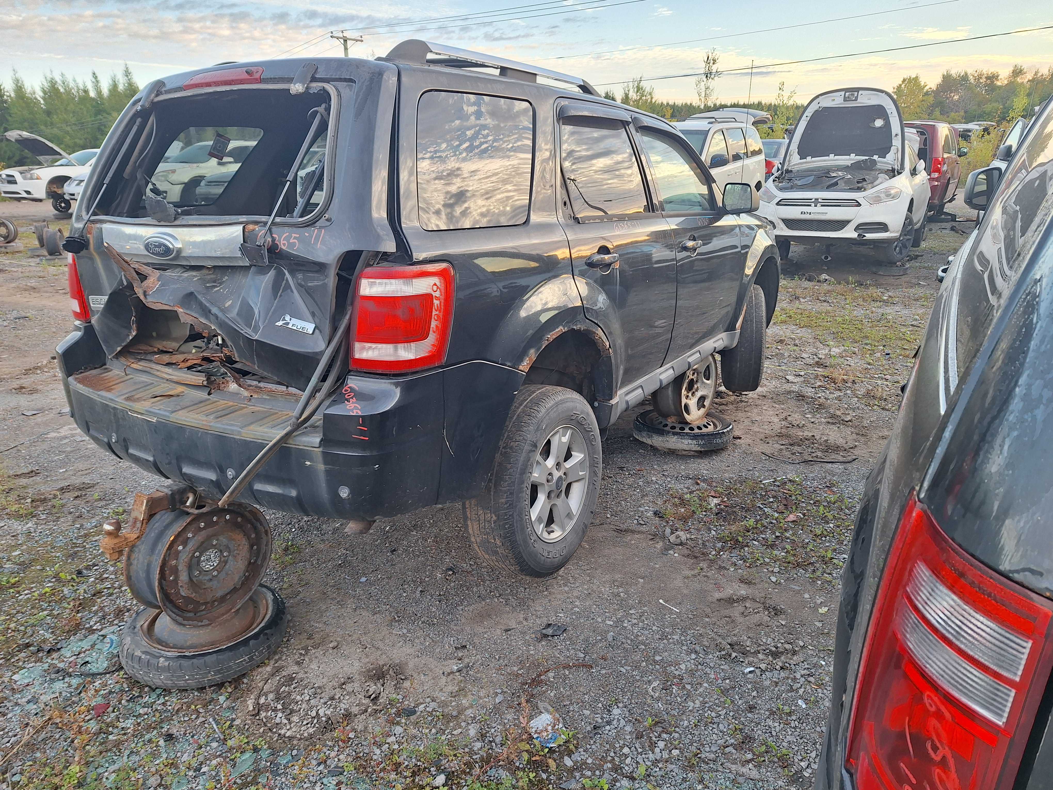 FORD ESCAPE 2011