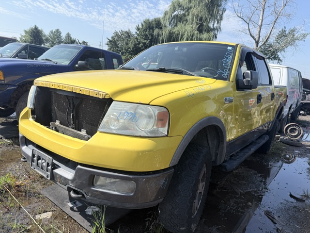 FORD F-150 2004