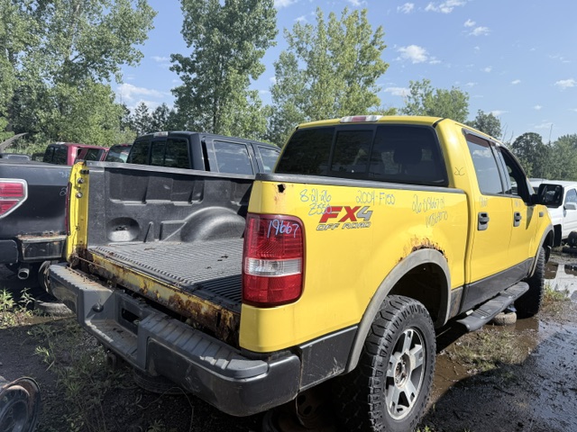 FORD F-150 2004