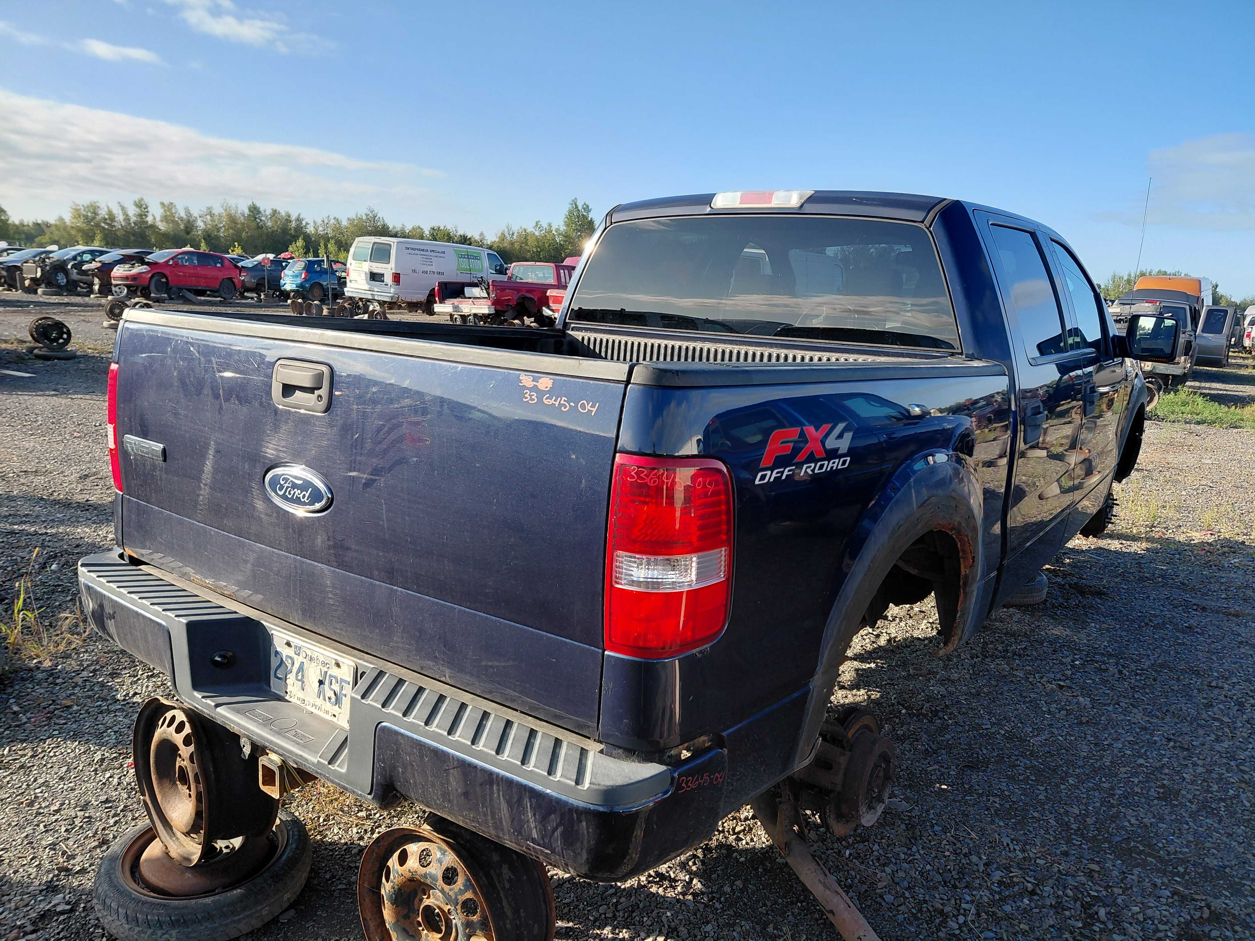 FORD F-150 2004