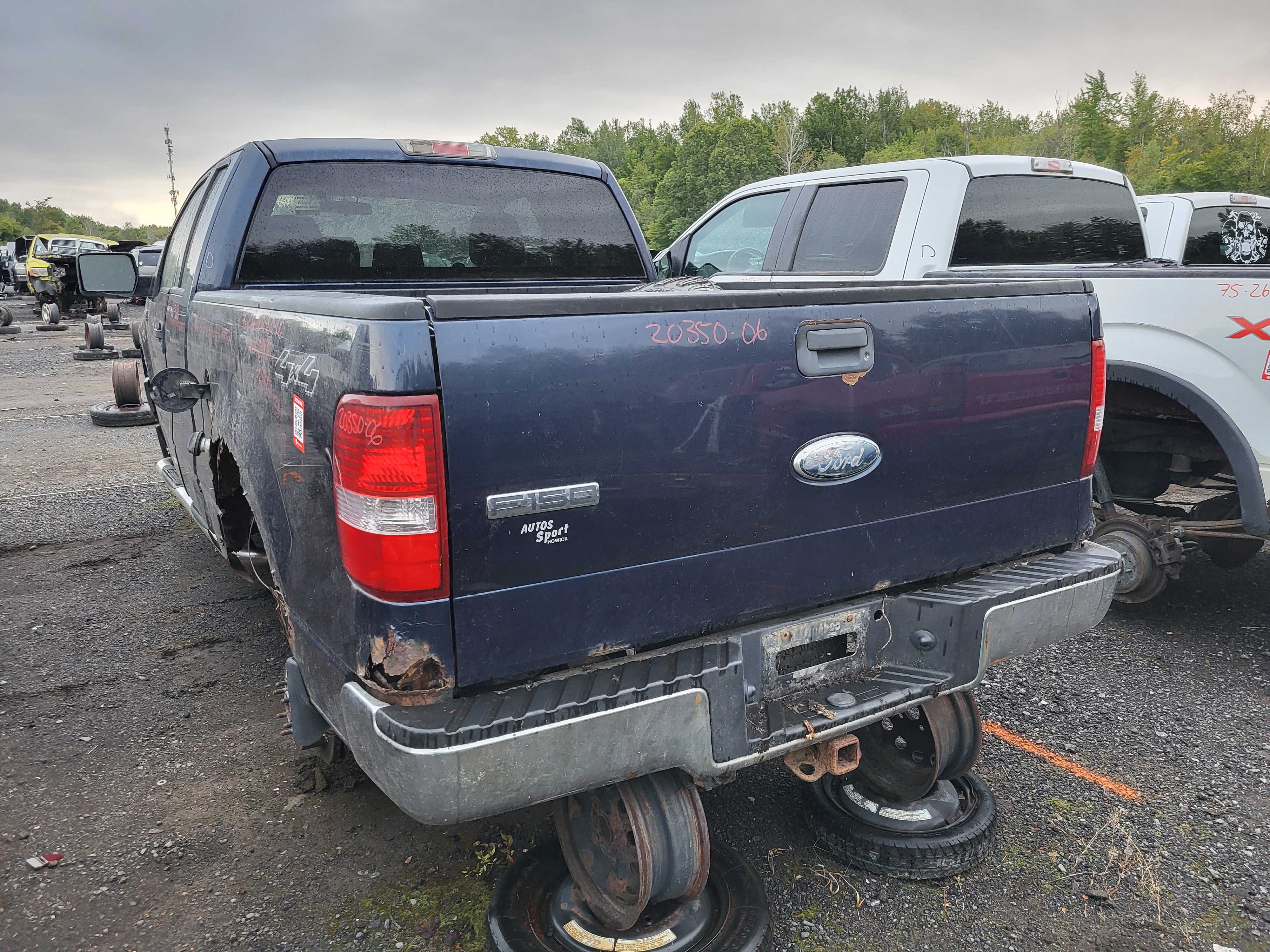 FORD F-150 2006