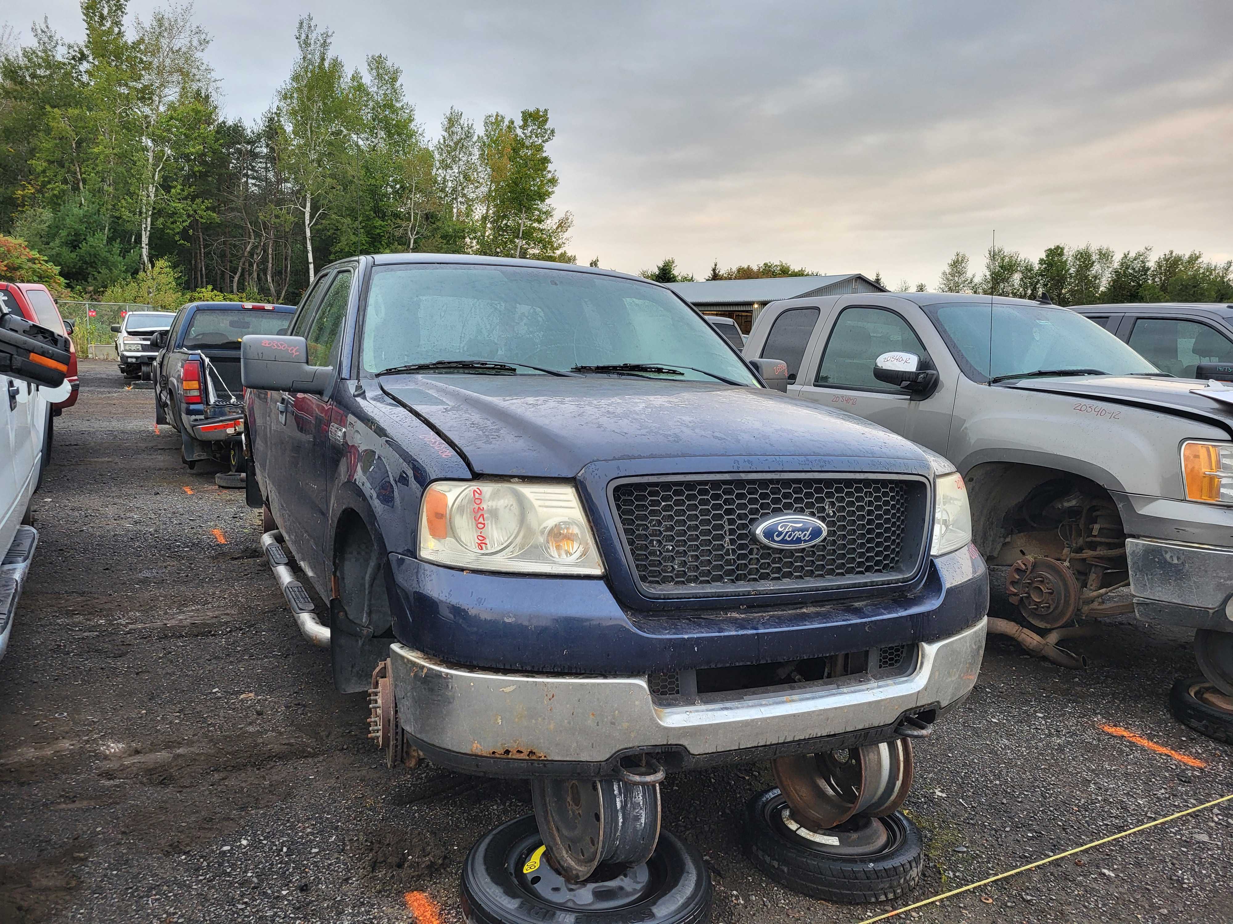 FORD F-150 2006