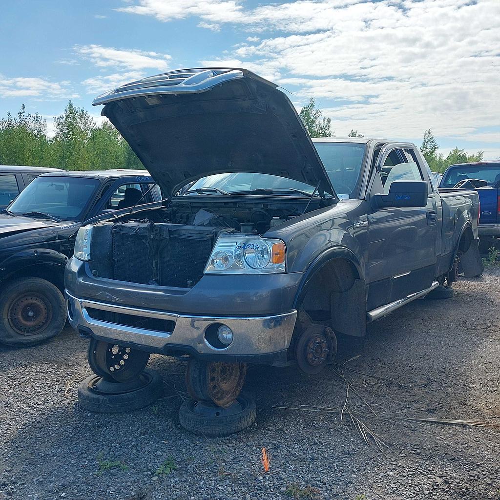 FORD F-150 2007