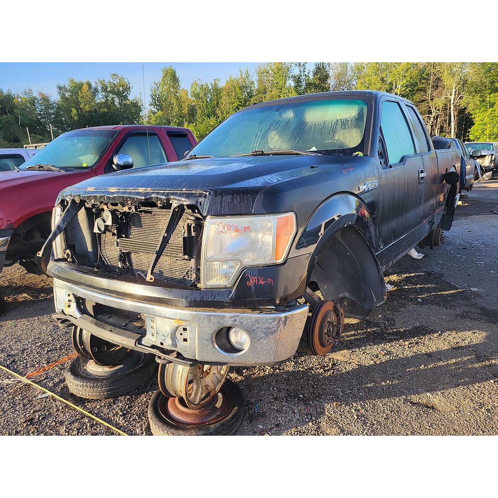 FORD F-150 2009