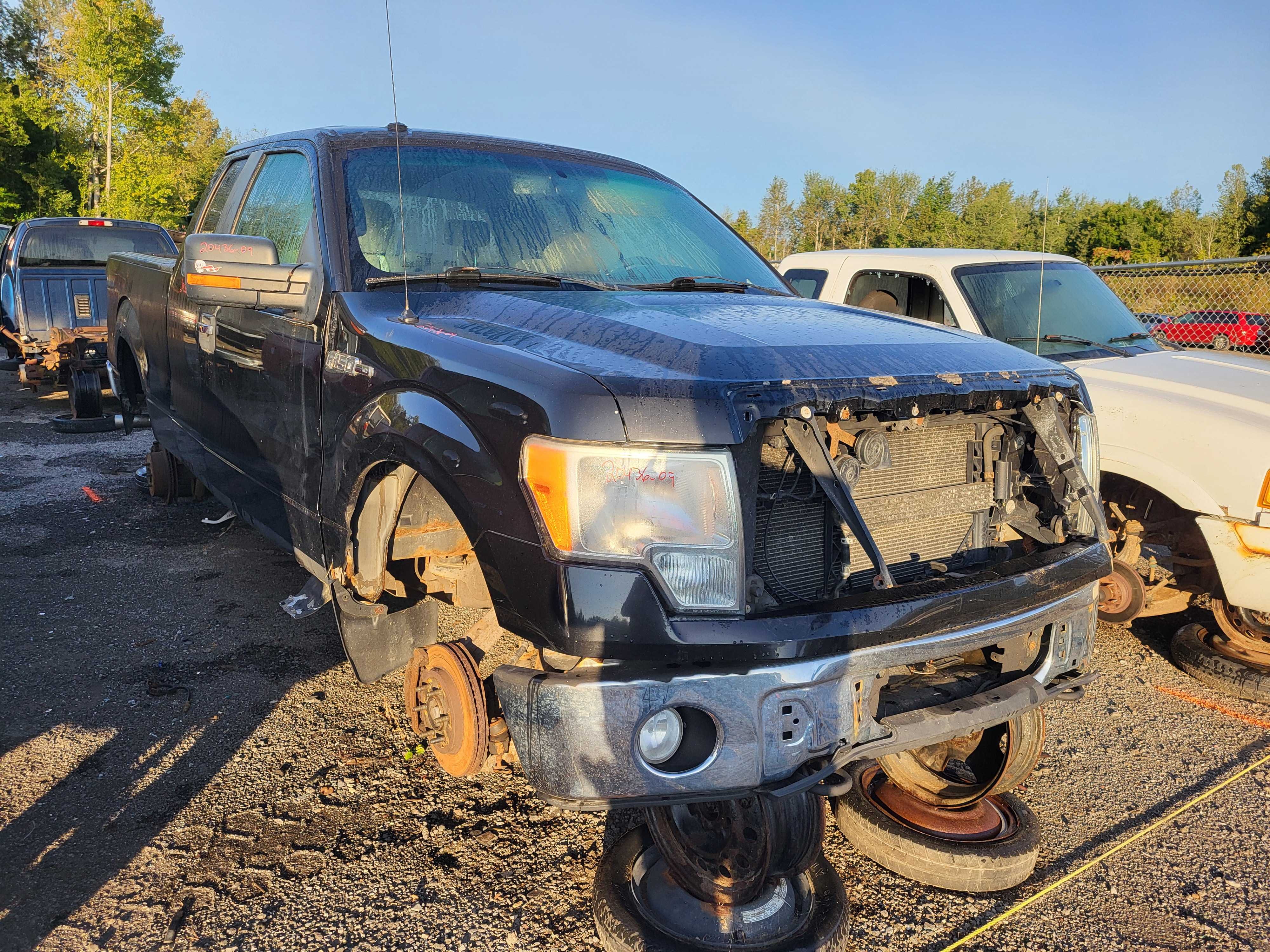 FORD F-150 2009