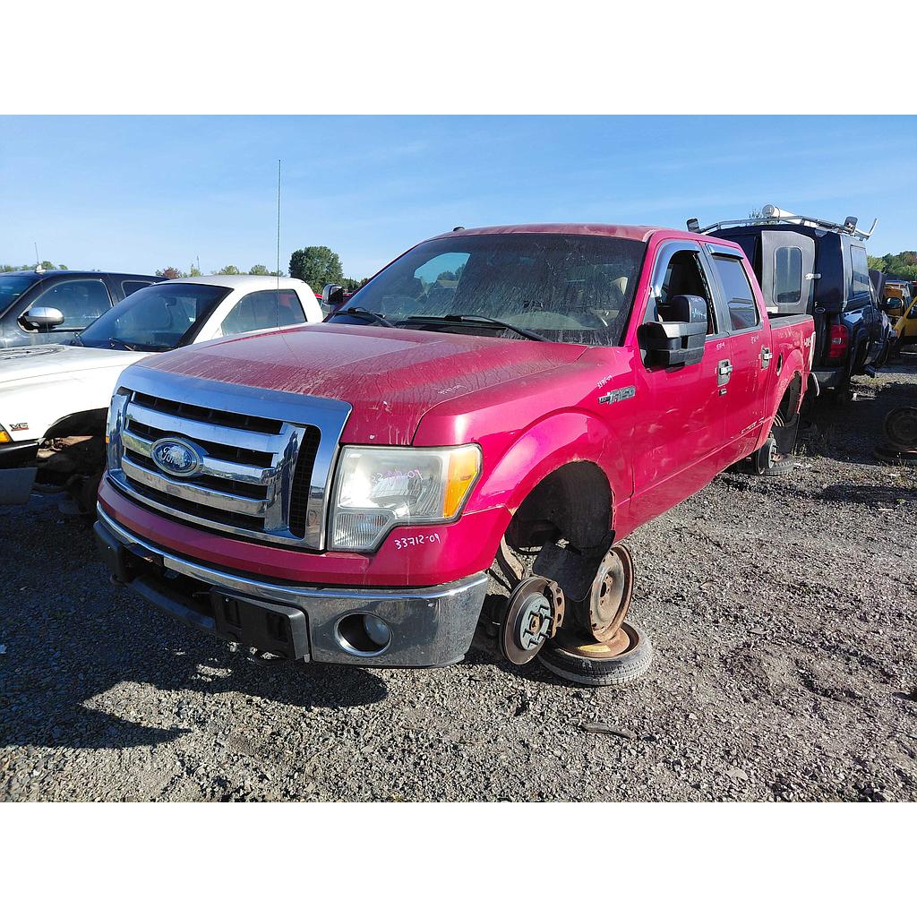 FORD F-150 2009
