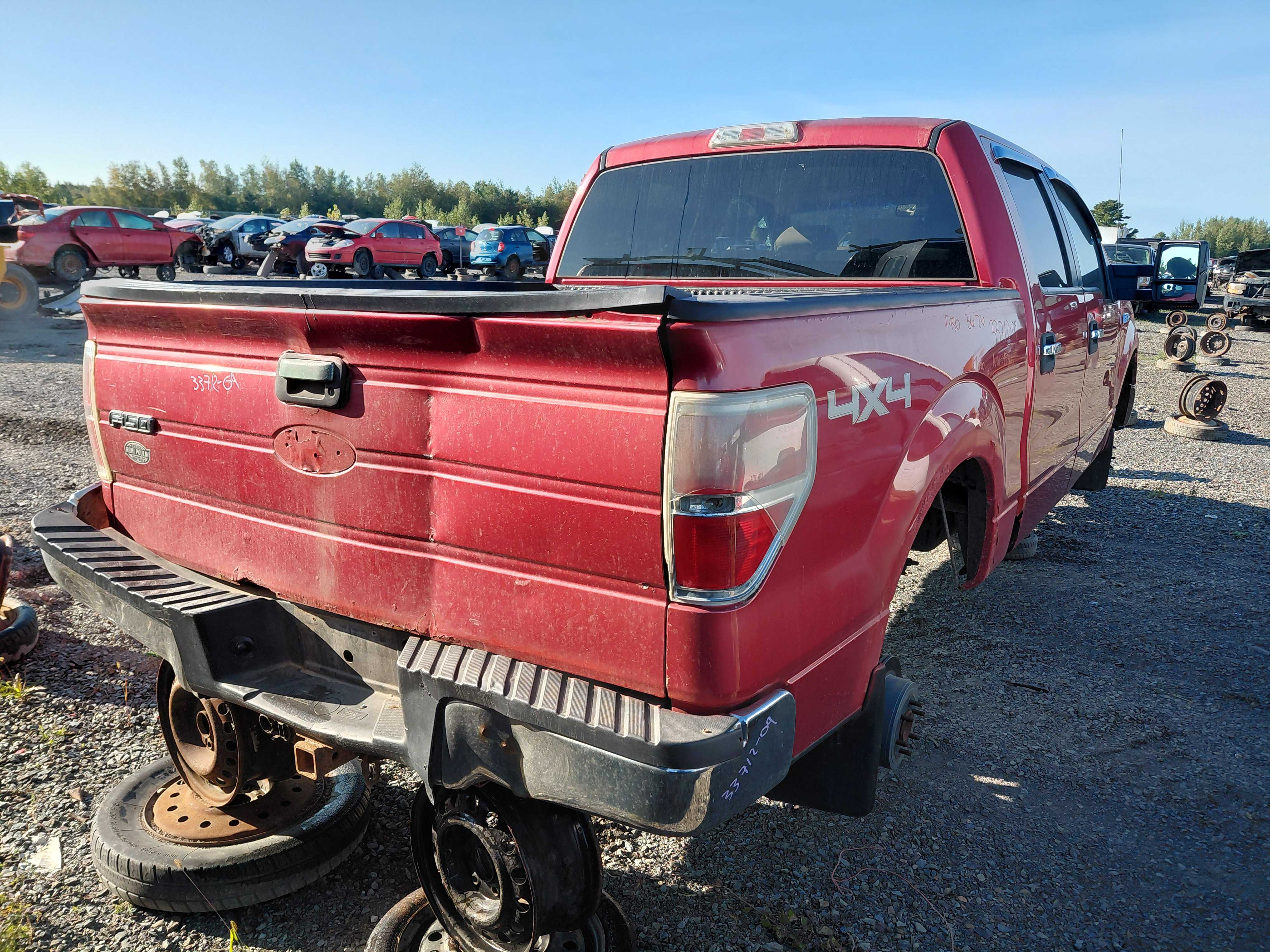 FORD F-150 2009