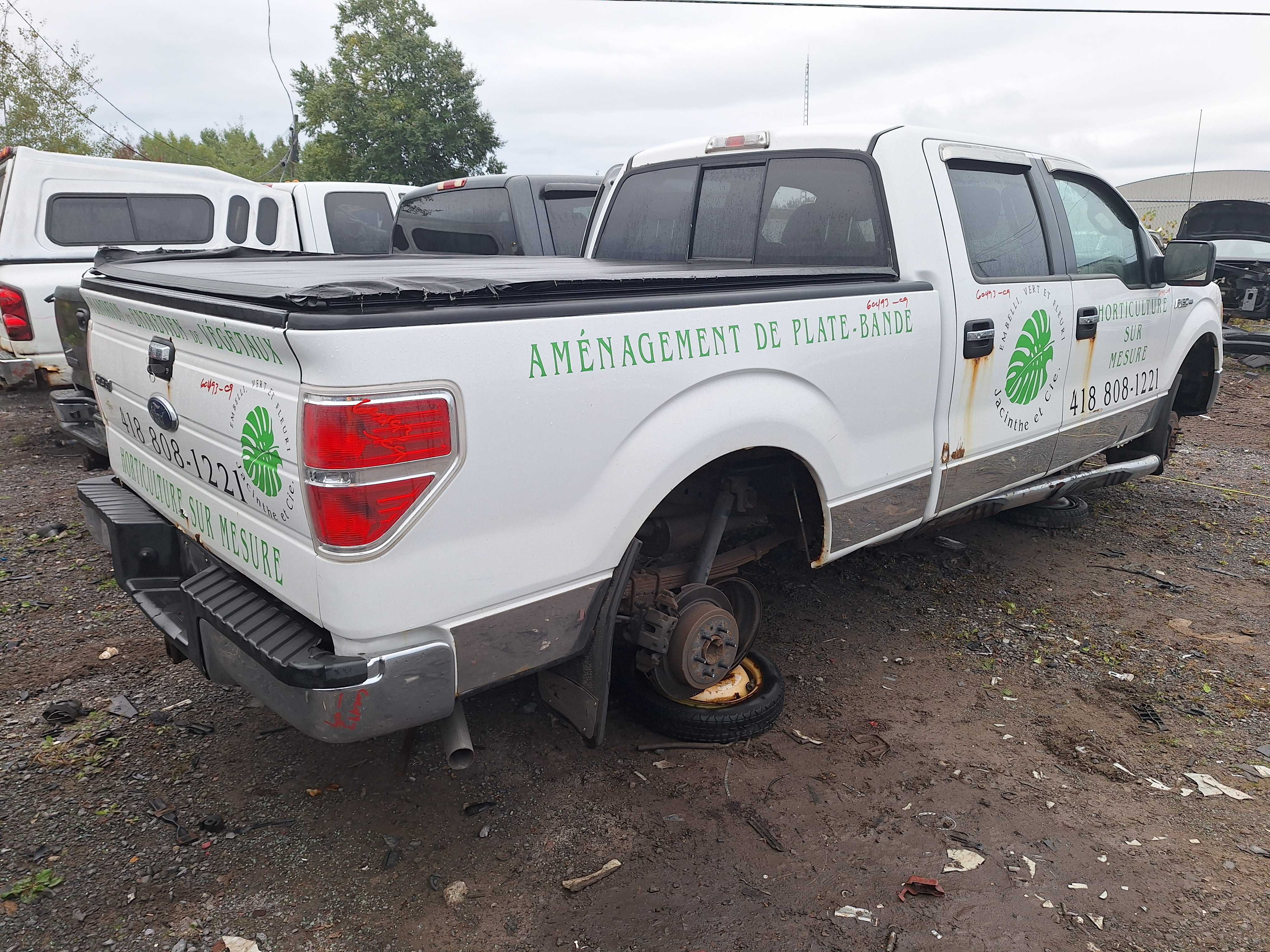 FORD F-150 2009