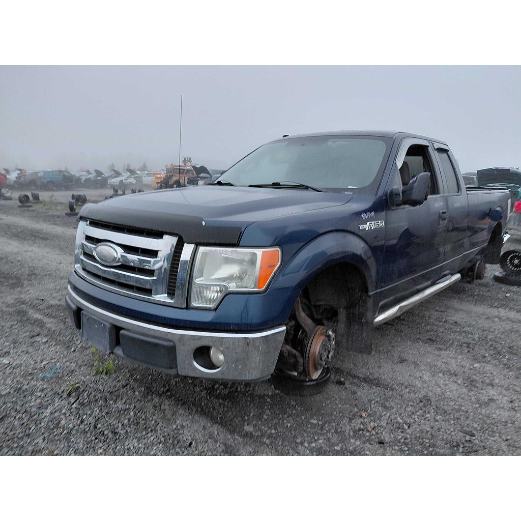 FORD F-150 2009