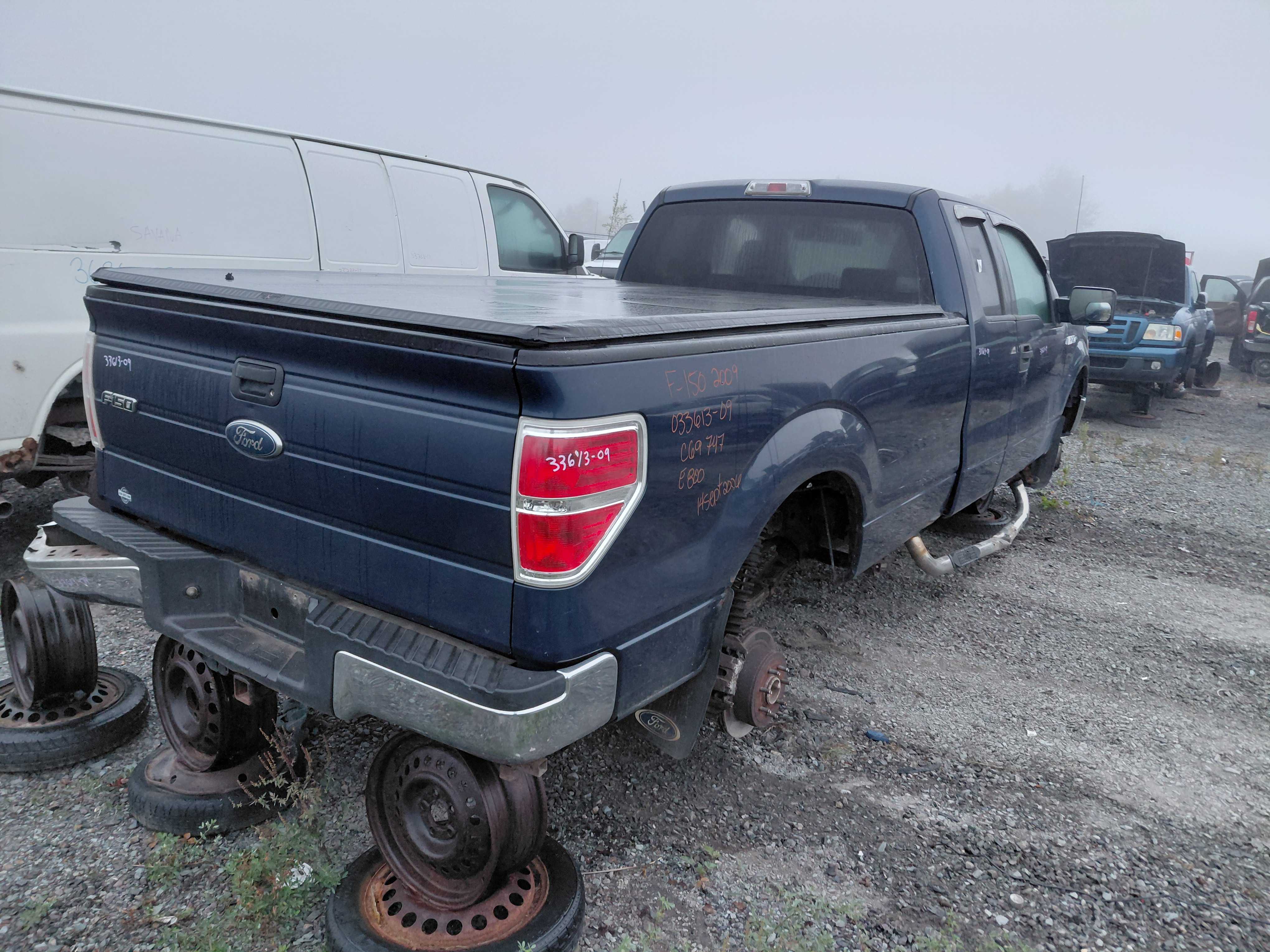 FORD F-150 2009