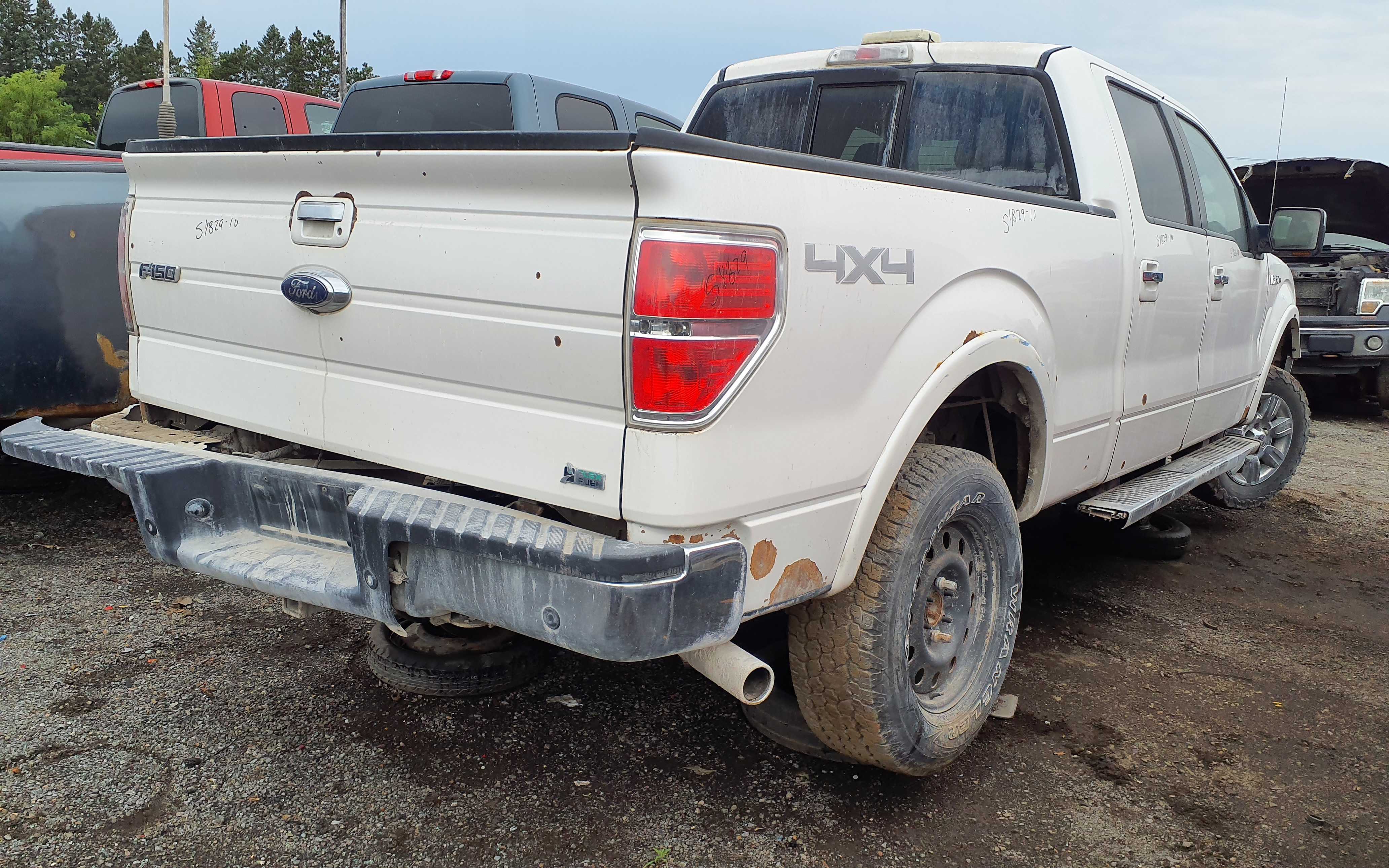 FORD F-150 2010