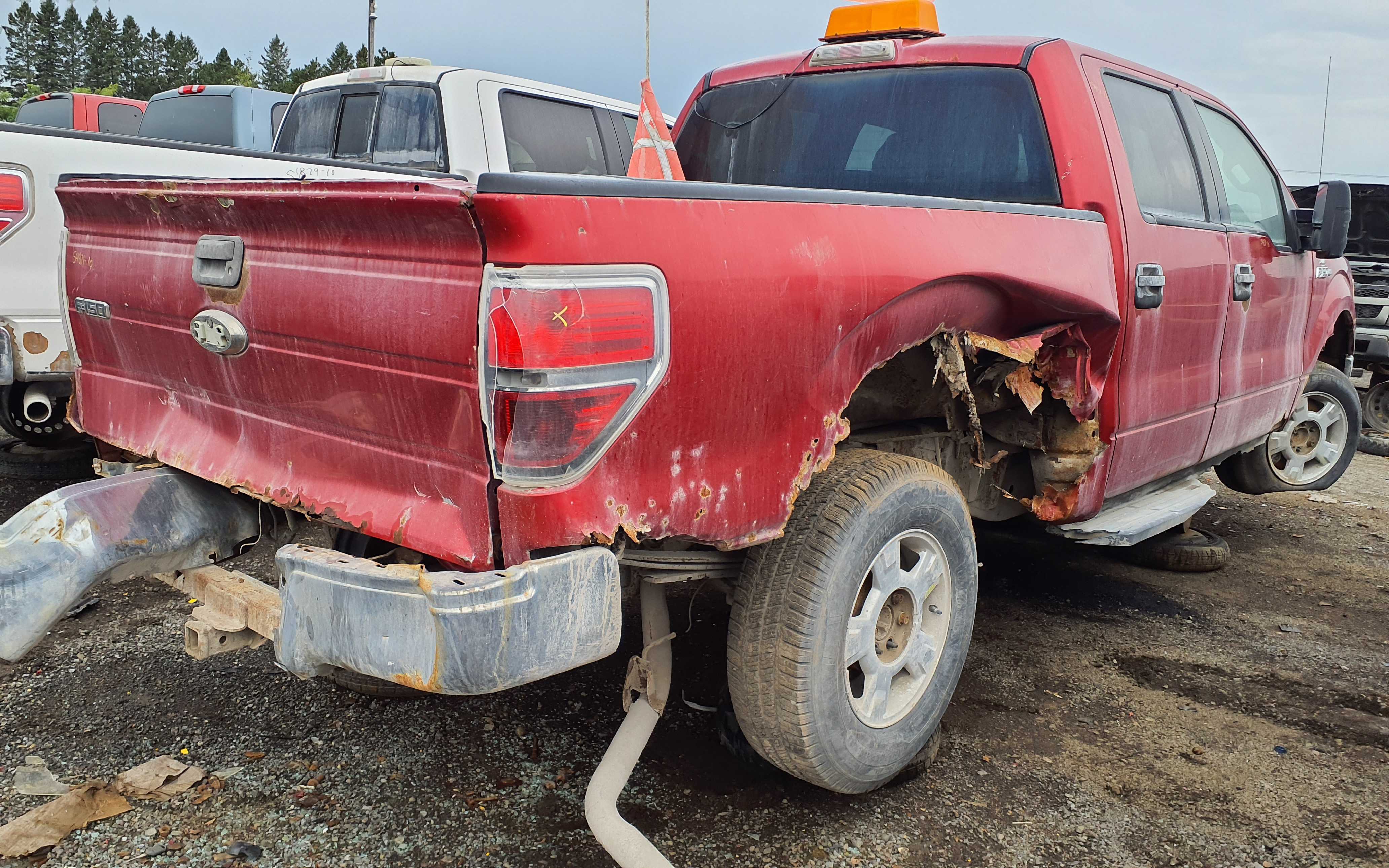 FORD F-150 2010