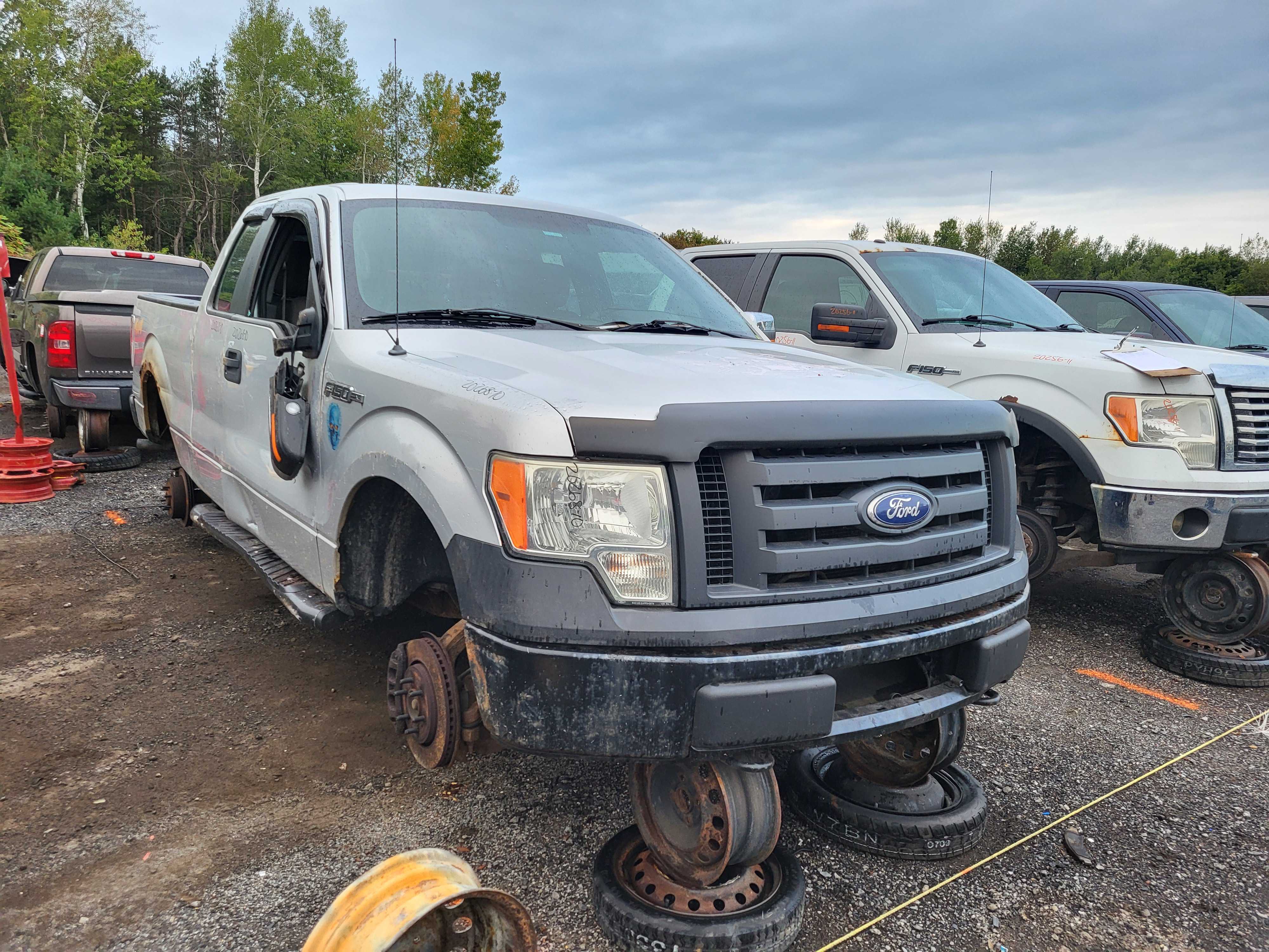 FORD F-150 2010