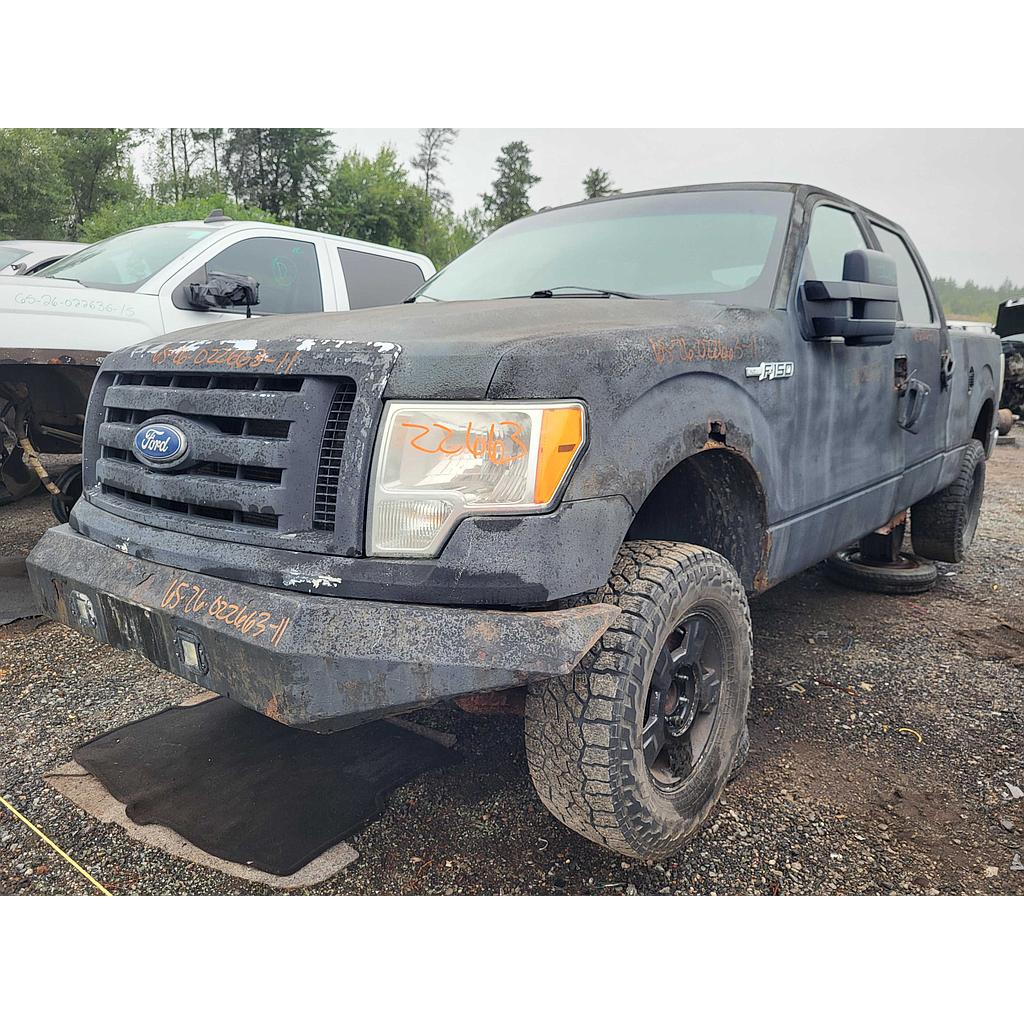 FORD F-150 2011