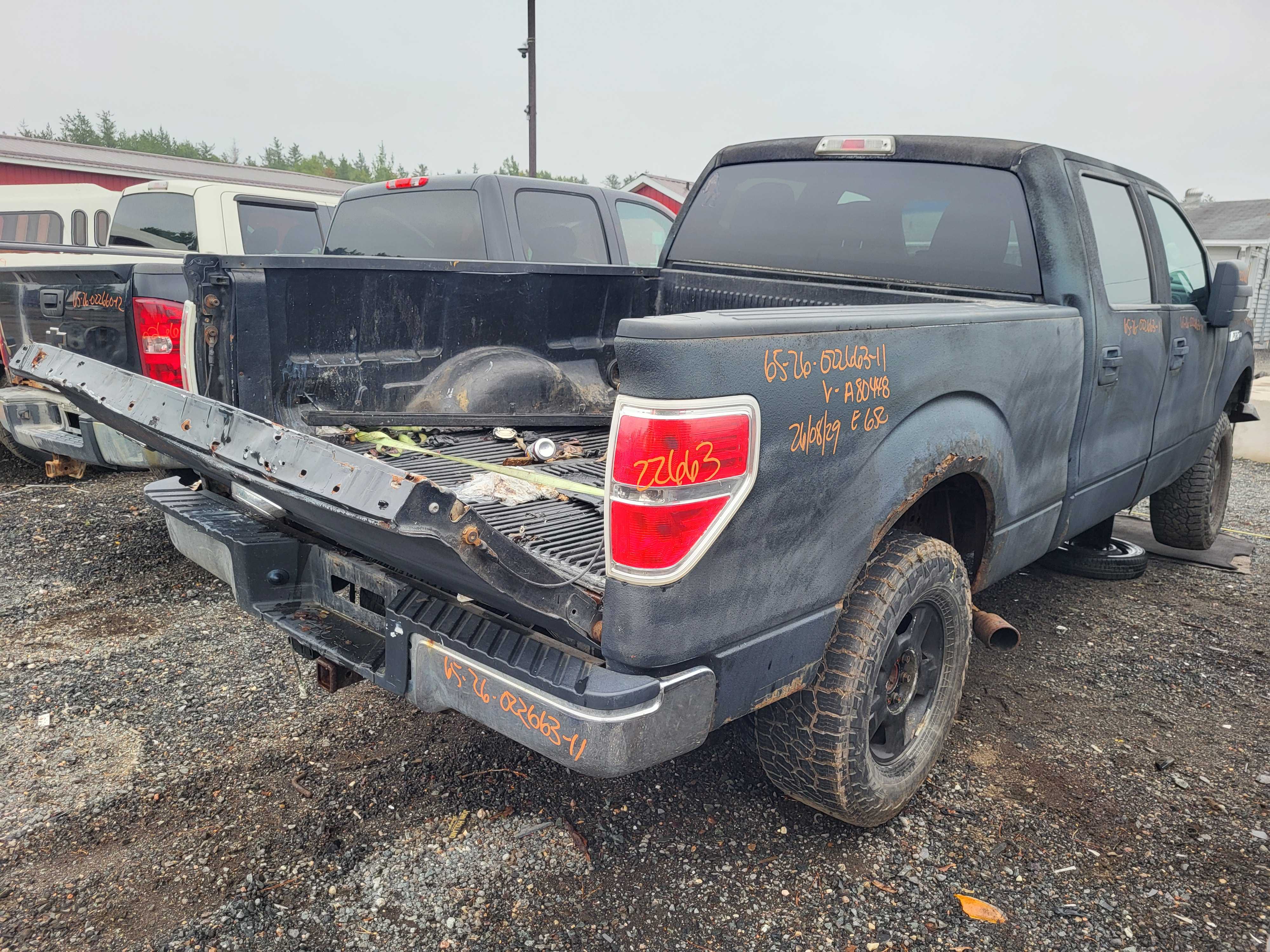 FORD F-150 2011