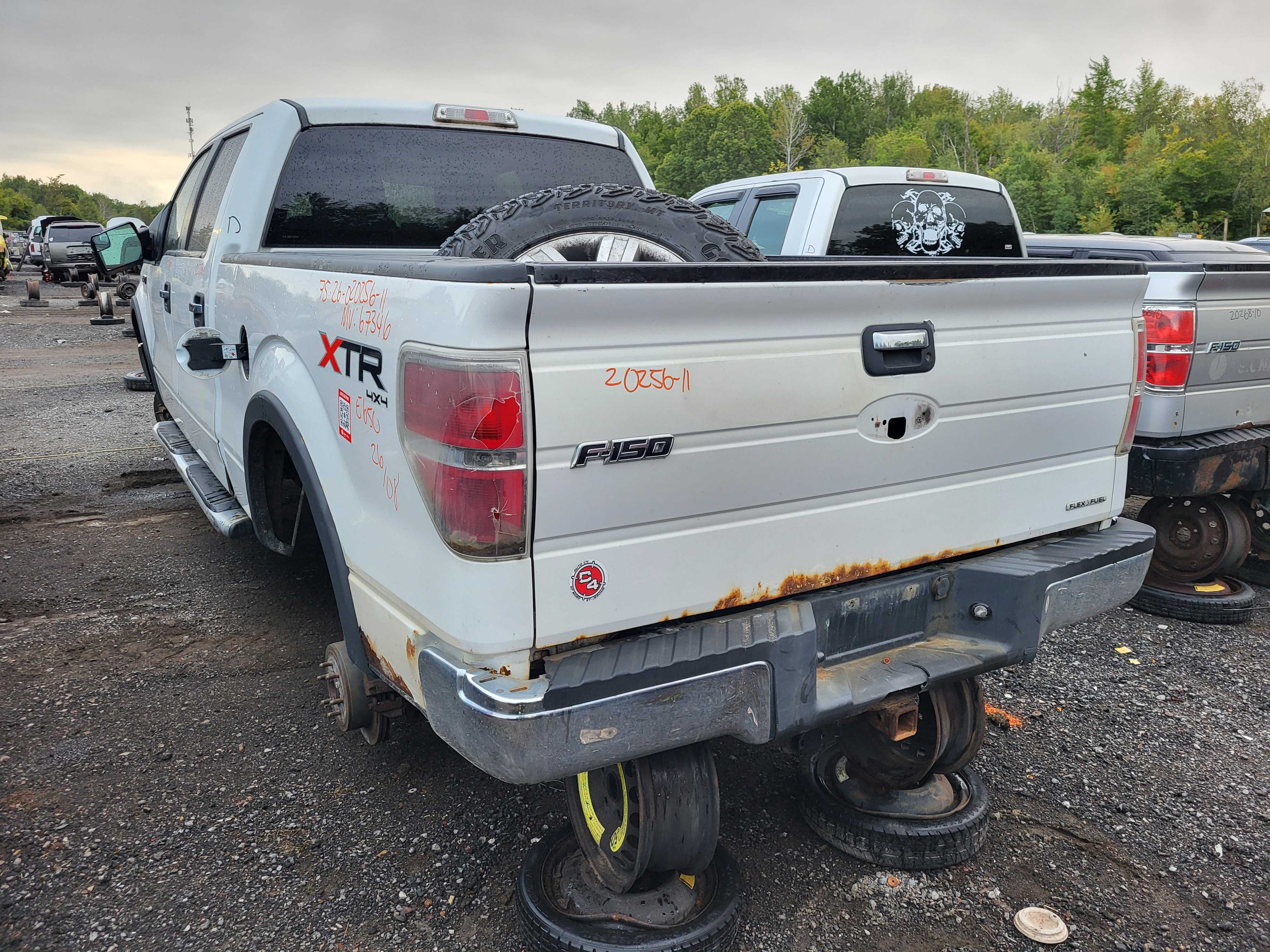 FORD F-150 2011