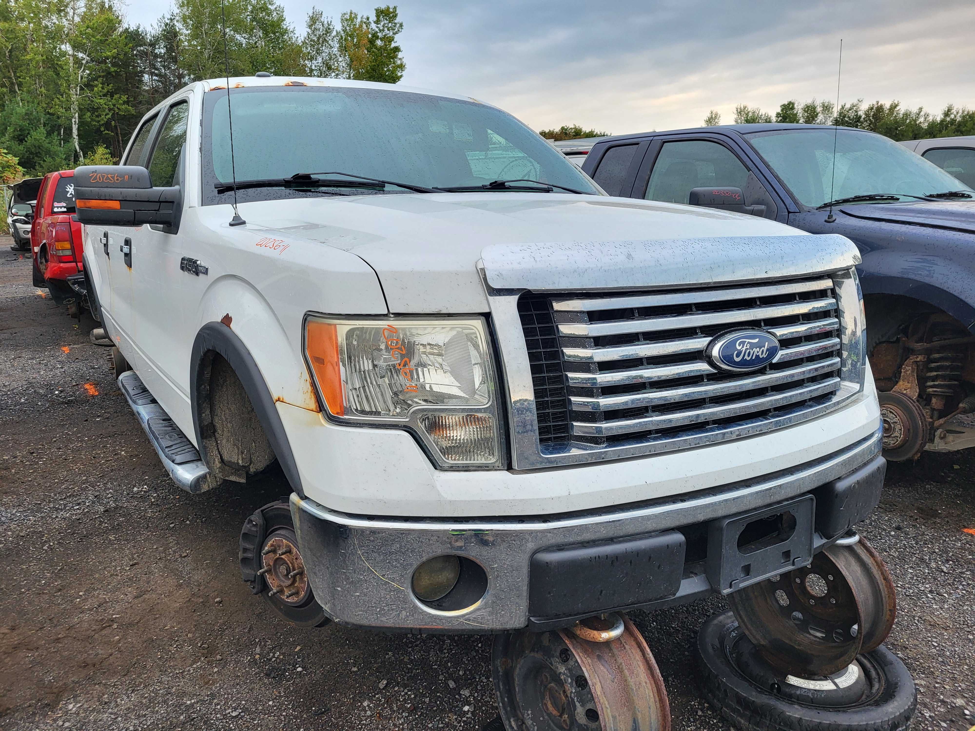 FORD F-150 2011