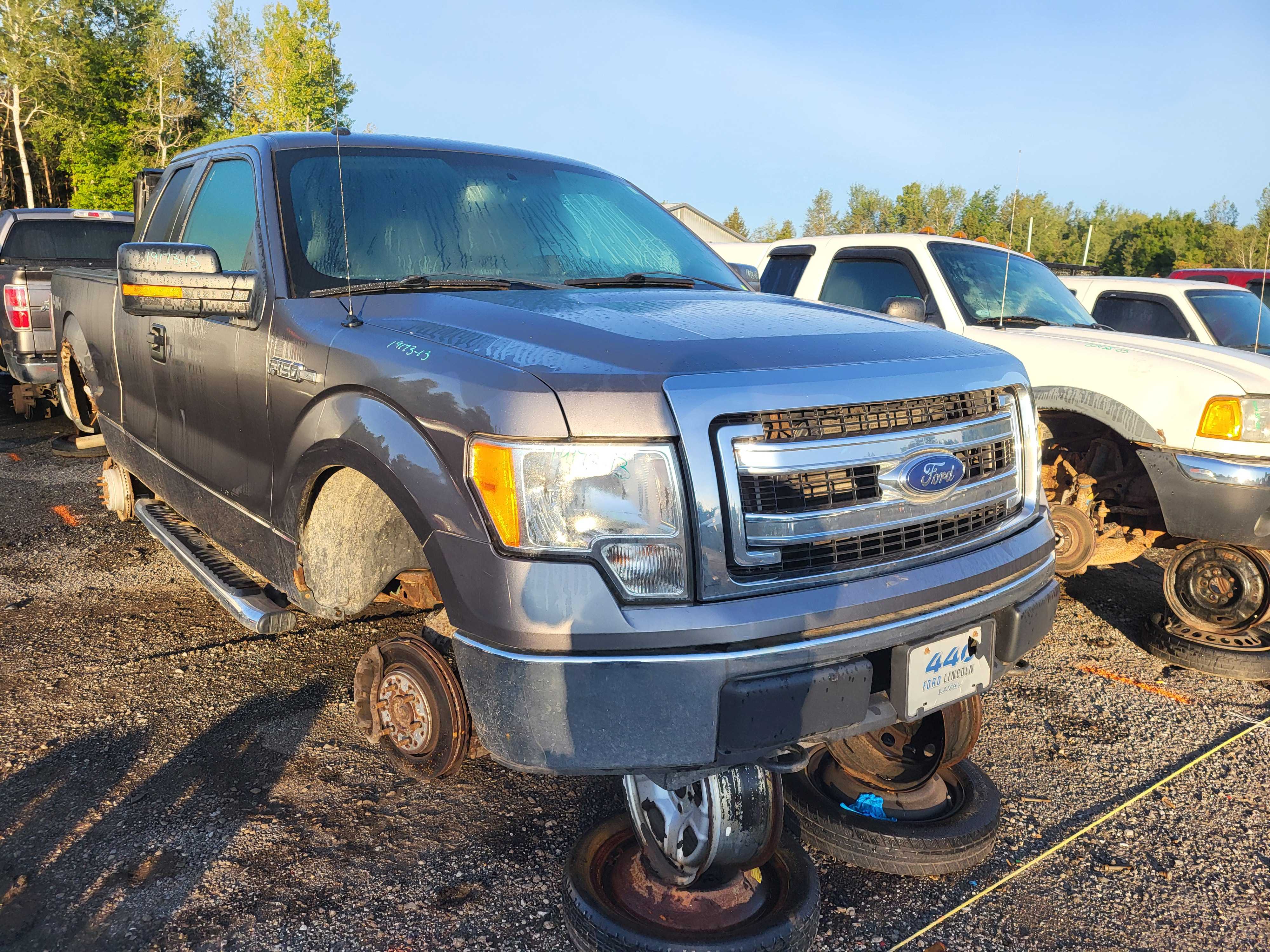 FORD F-150 2013