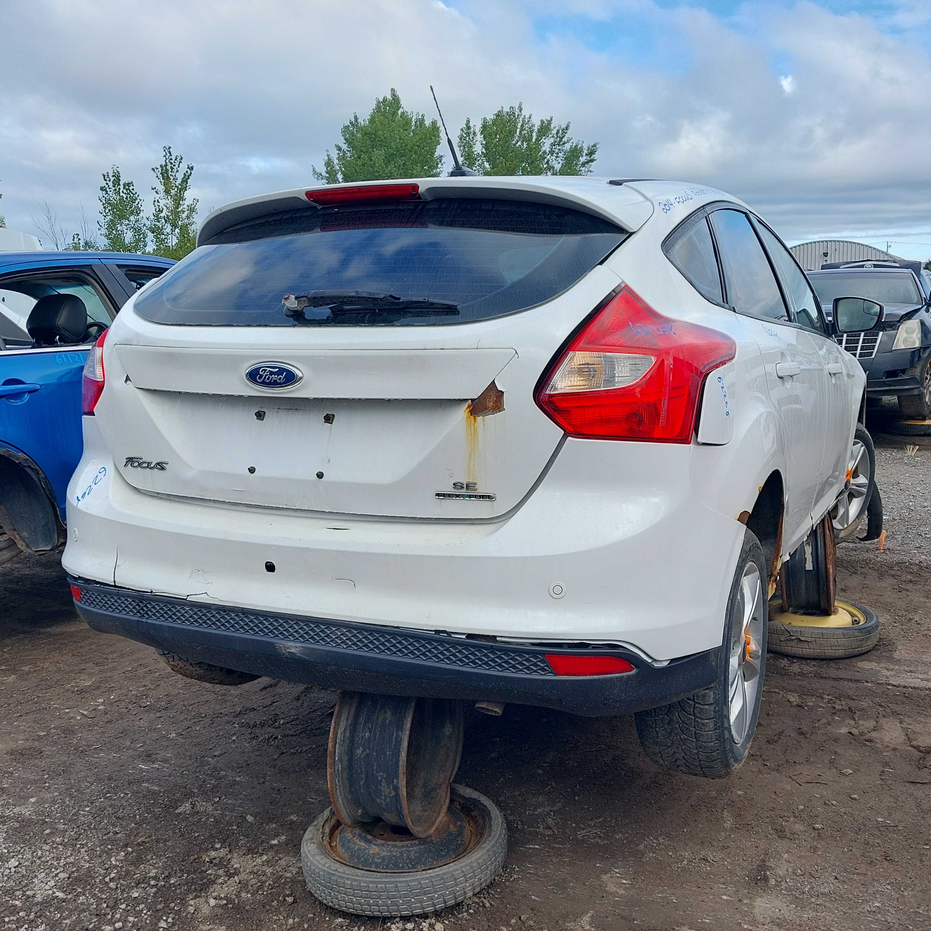 FORD FOCUS 2014