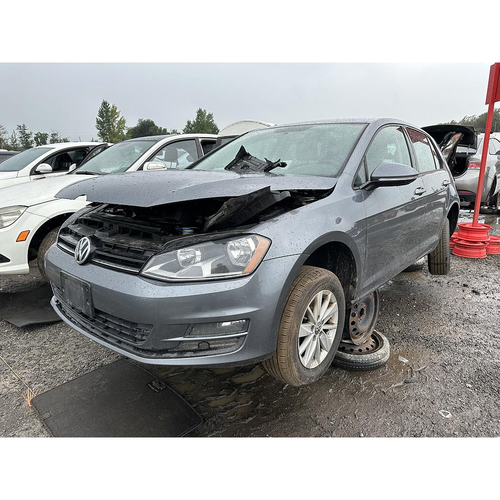 VOLKSWAGEN GOLF 2015