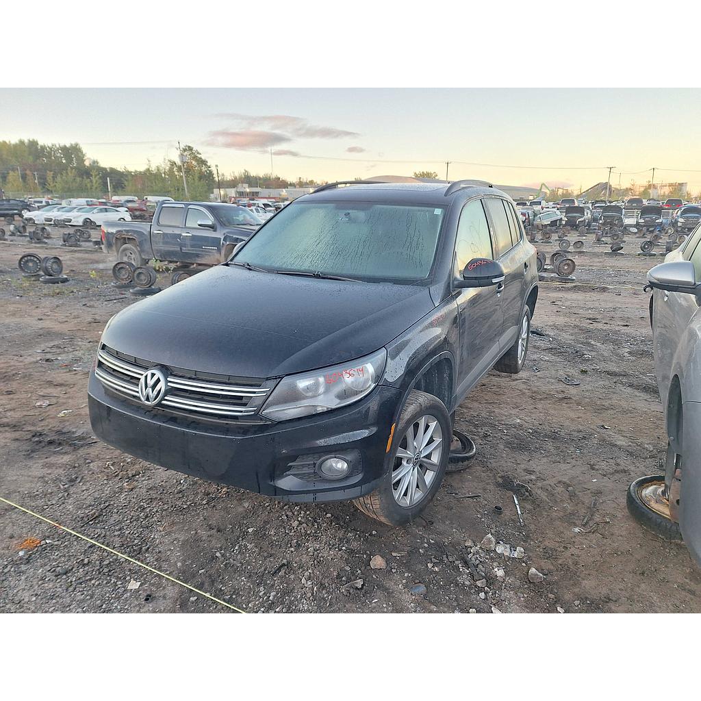 VOLKSWAGEN TIGUAN 2014